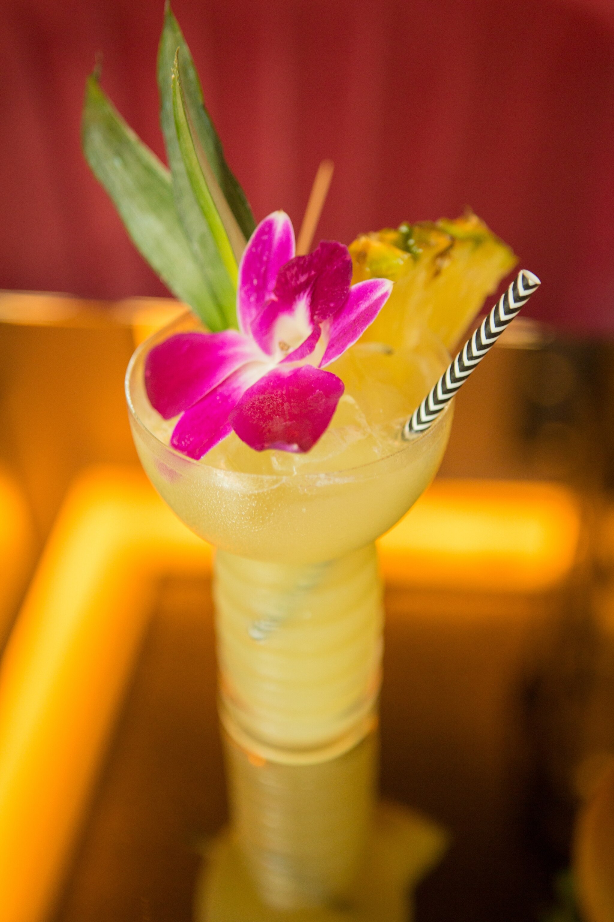 a craft cocktail at Fifth & Rose, San Diego CA