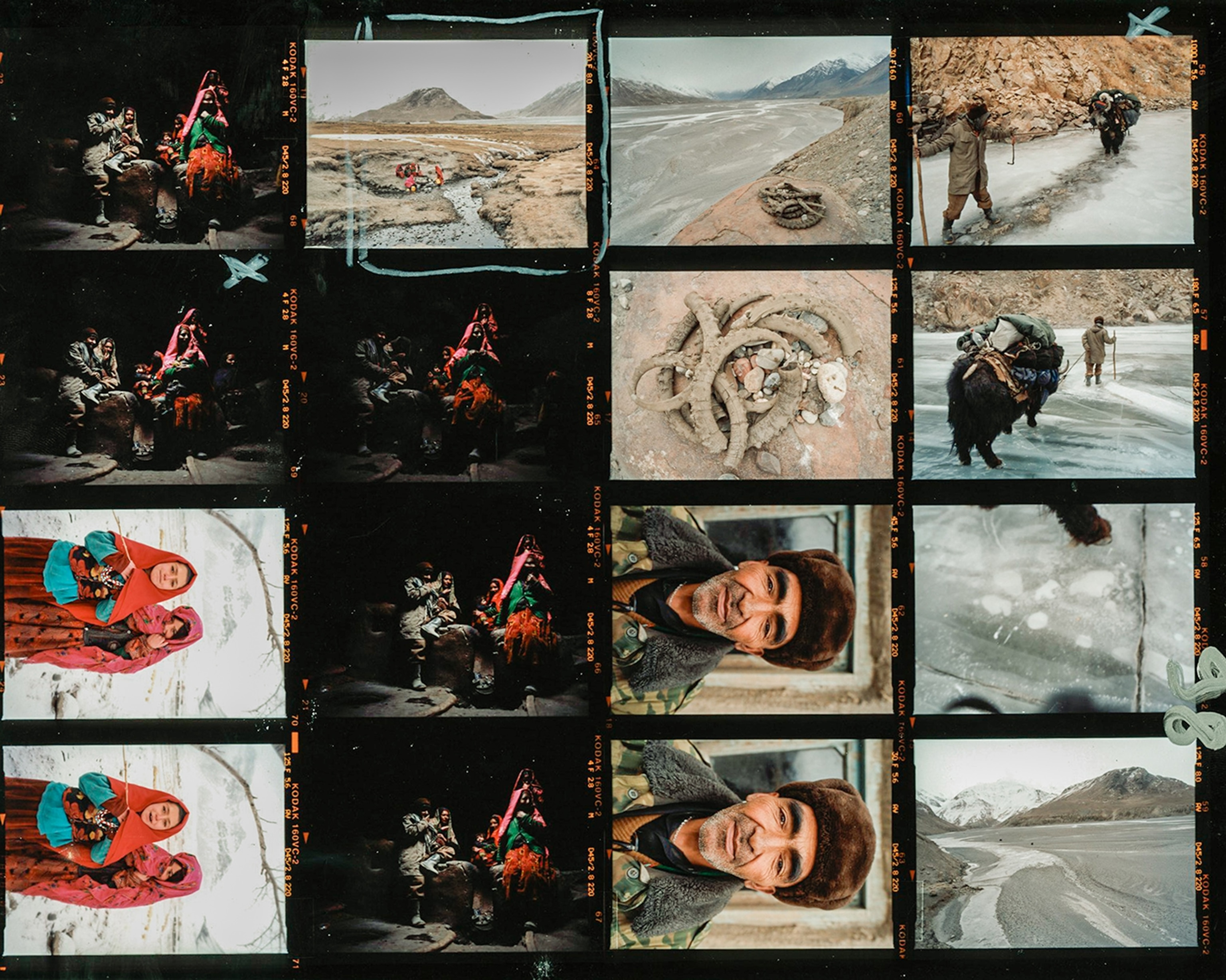 Contact sheet of sixteen photos showing different people, landscapes, and animals.