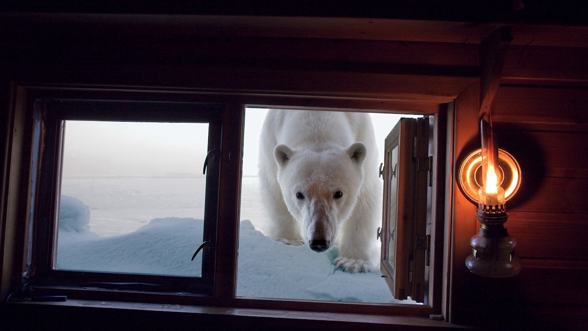 28 tender photos from the Nat Geo archives that will bring a smile to your face - Vimarsana News