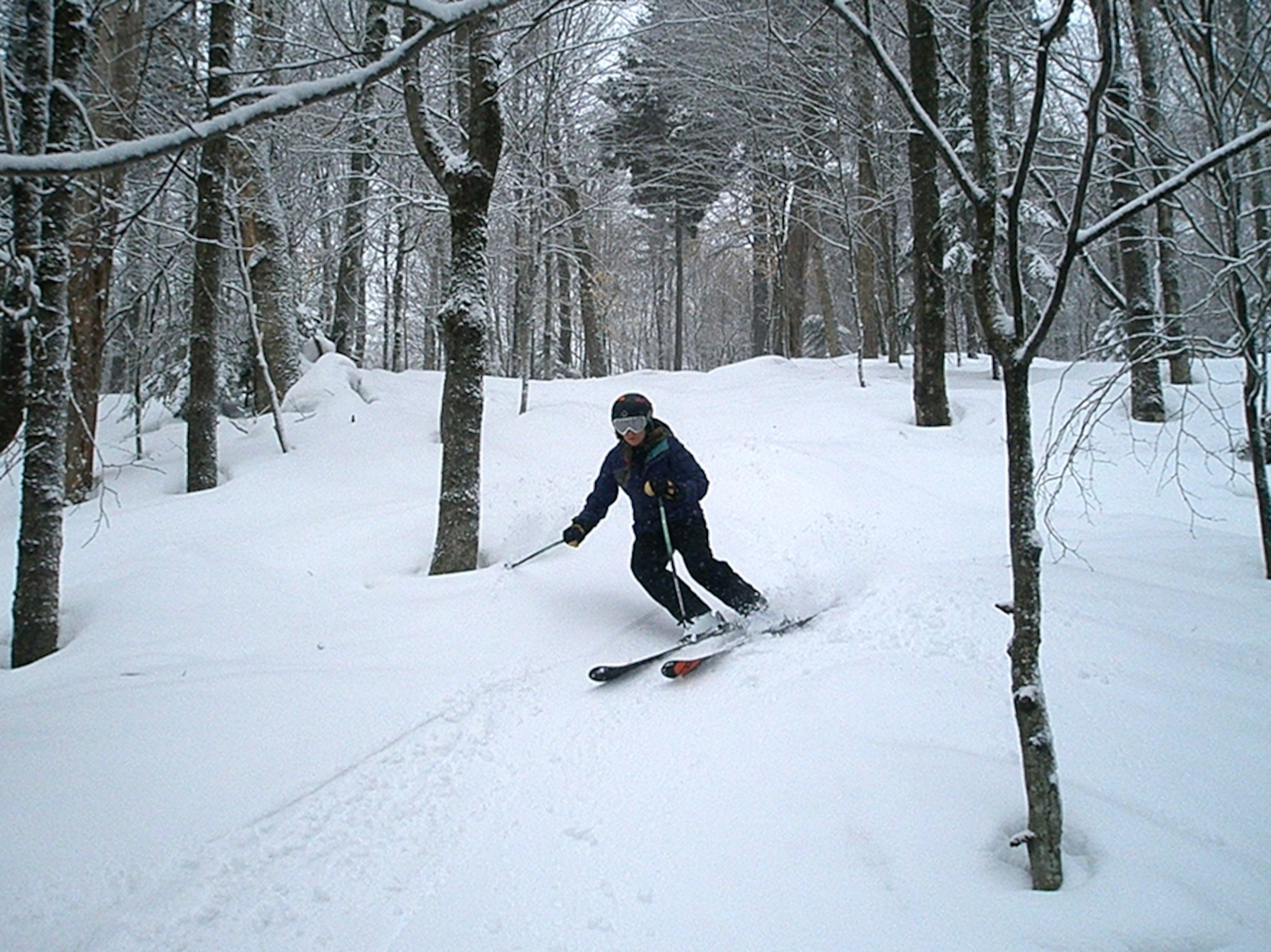 a woman skiing on the "Backside" trail on the Middlebury College Snow Bowl