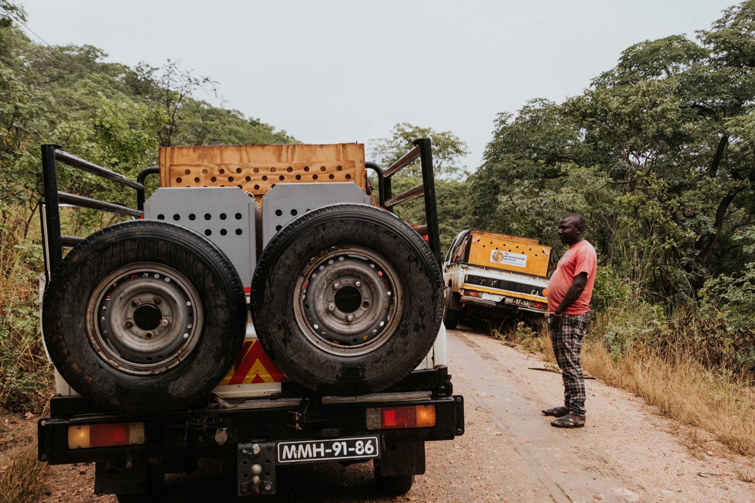 A man stands by a dirt road next to two parked trucks with large crates and mounted spare tires, surrounded by lush greenery. The atmosphere is calm and rural.