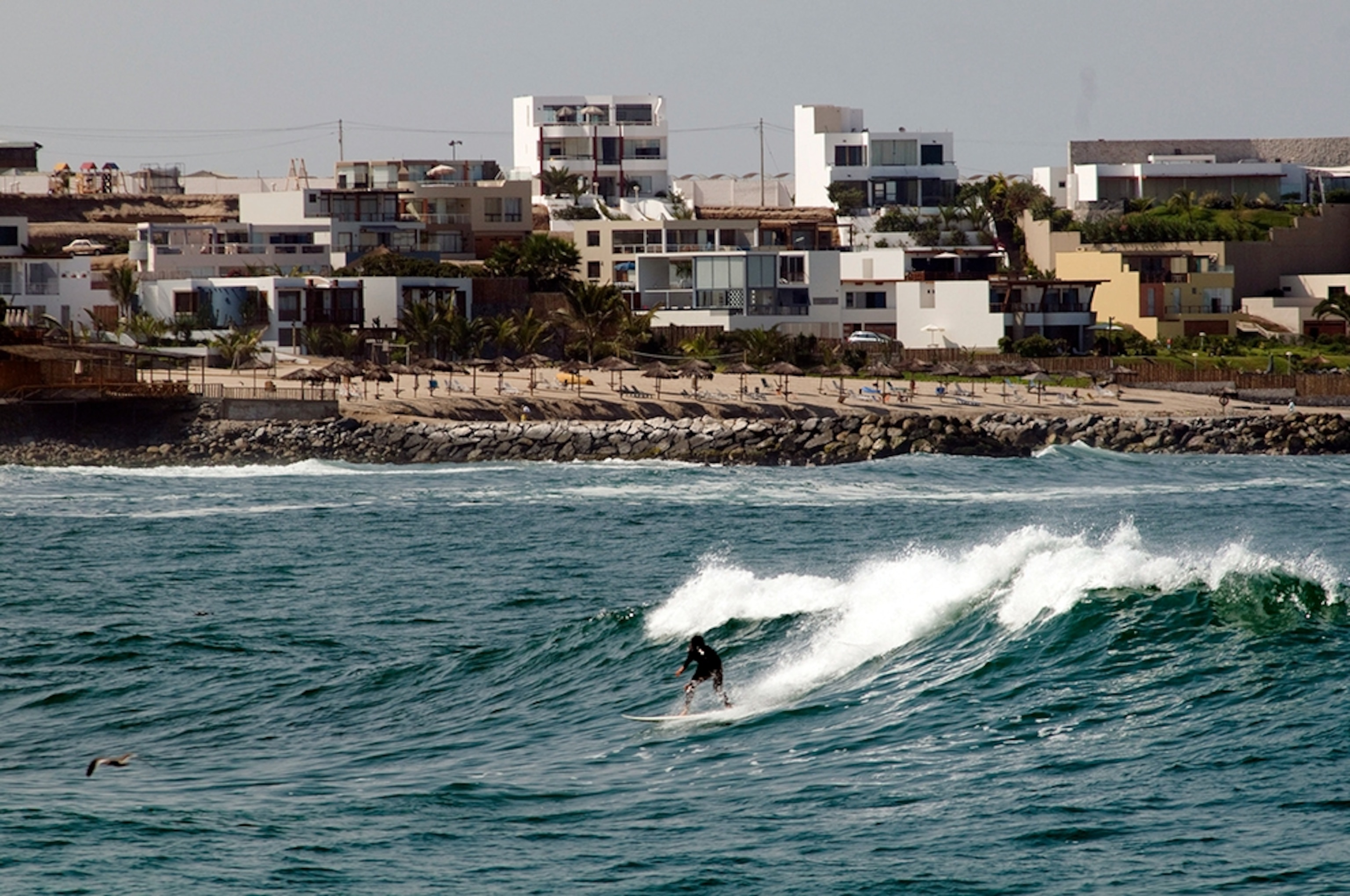 a surfer on a wave near Punta Hermosa, Peru