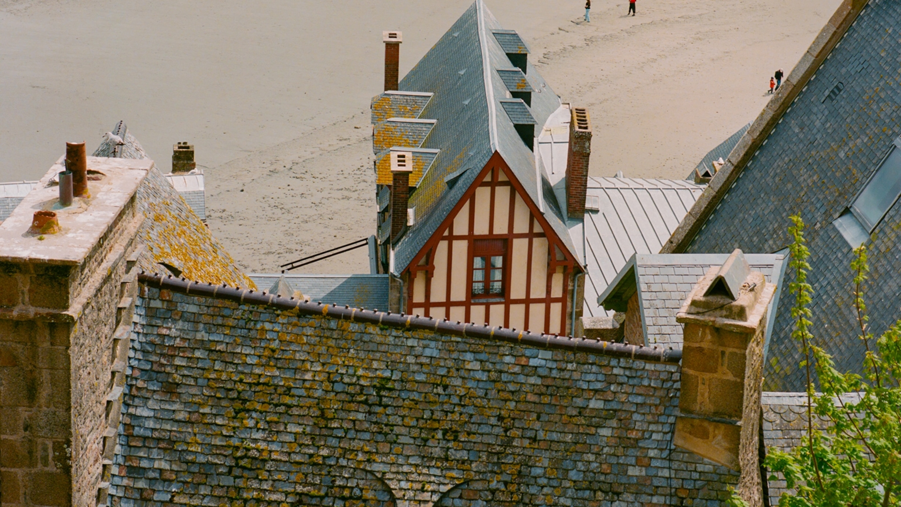William the Conqueror Was Born 1,000 Years Ago, and Normandy Is Celebrating All of 2027