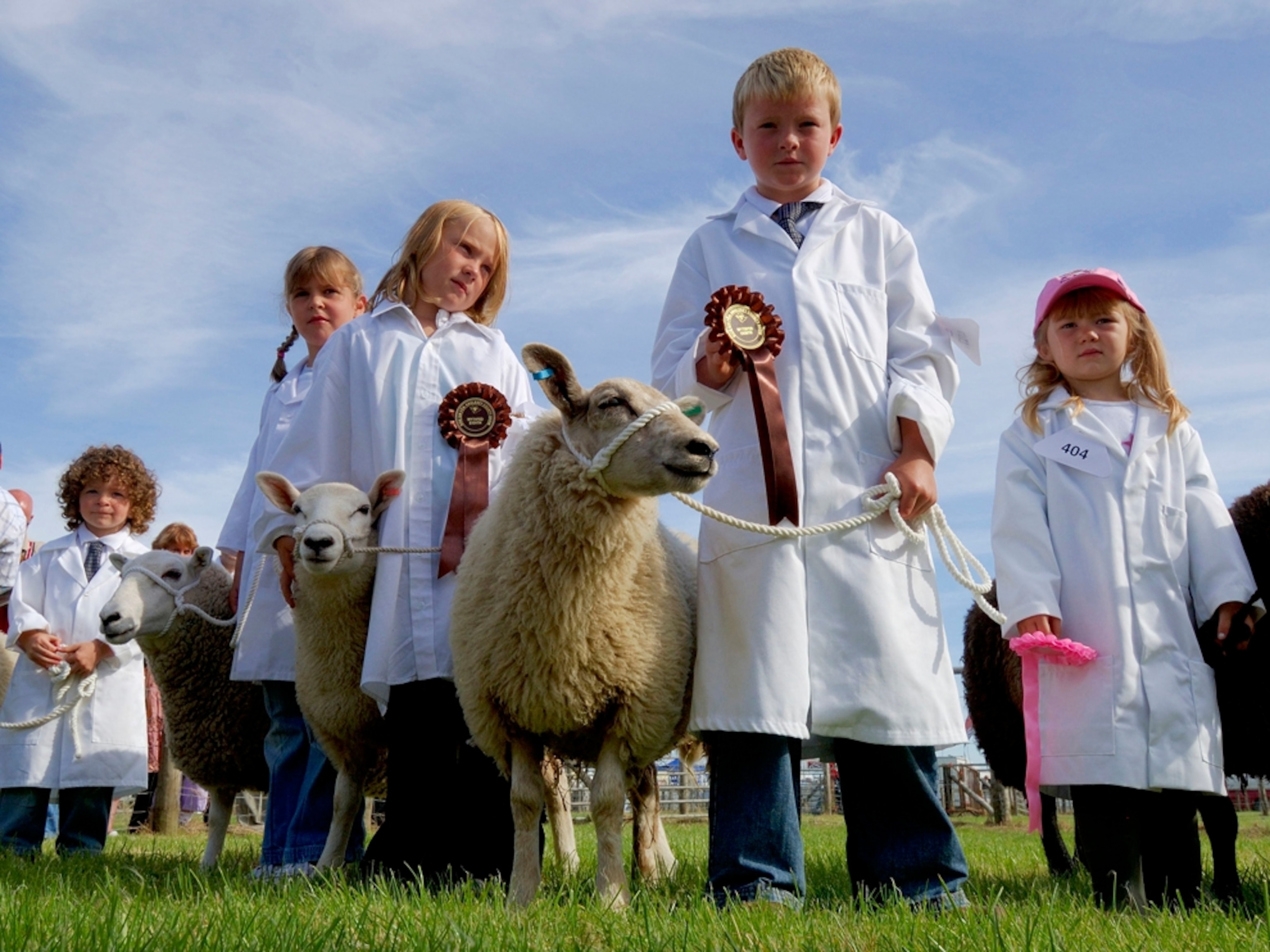 Young Welsh farmers show sheep, Anglesey County, Wales