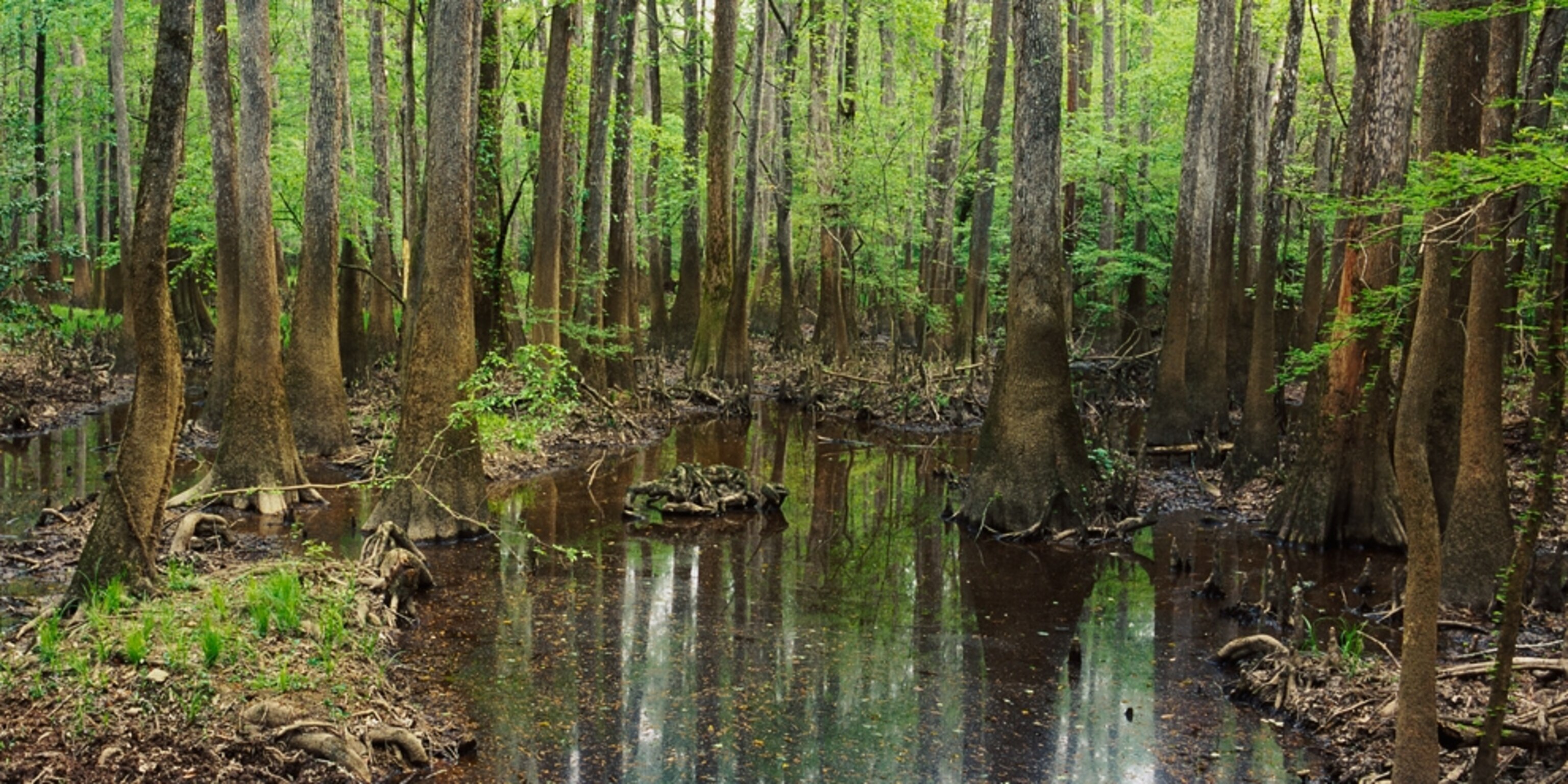 Why Mount Rainier May Be the Most Dangerous U.S. Volcano