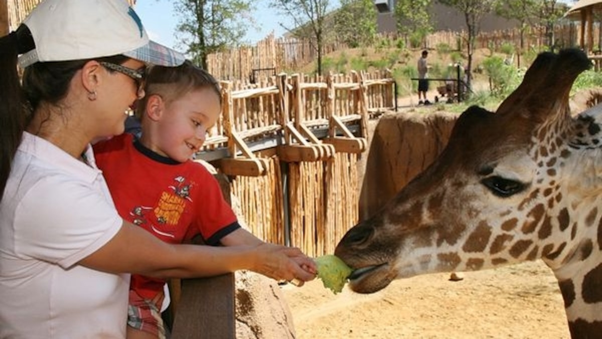 Best Places to Interact With Animals in the U.S. National Geographic