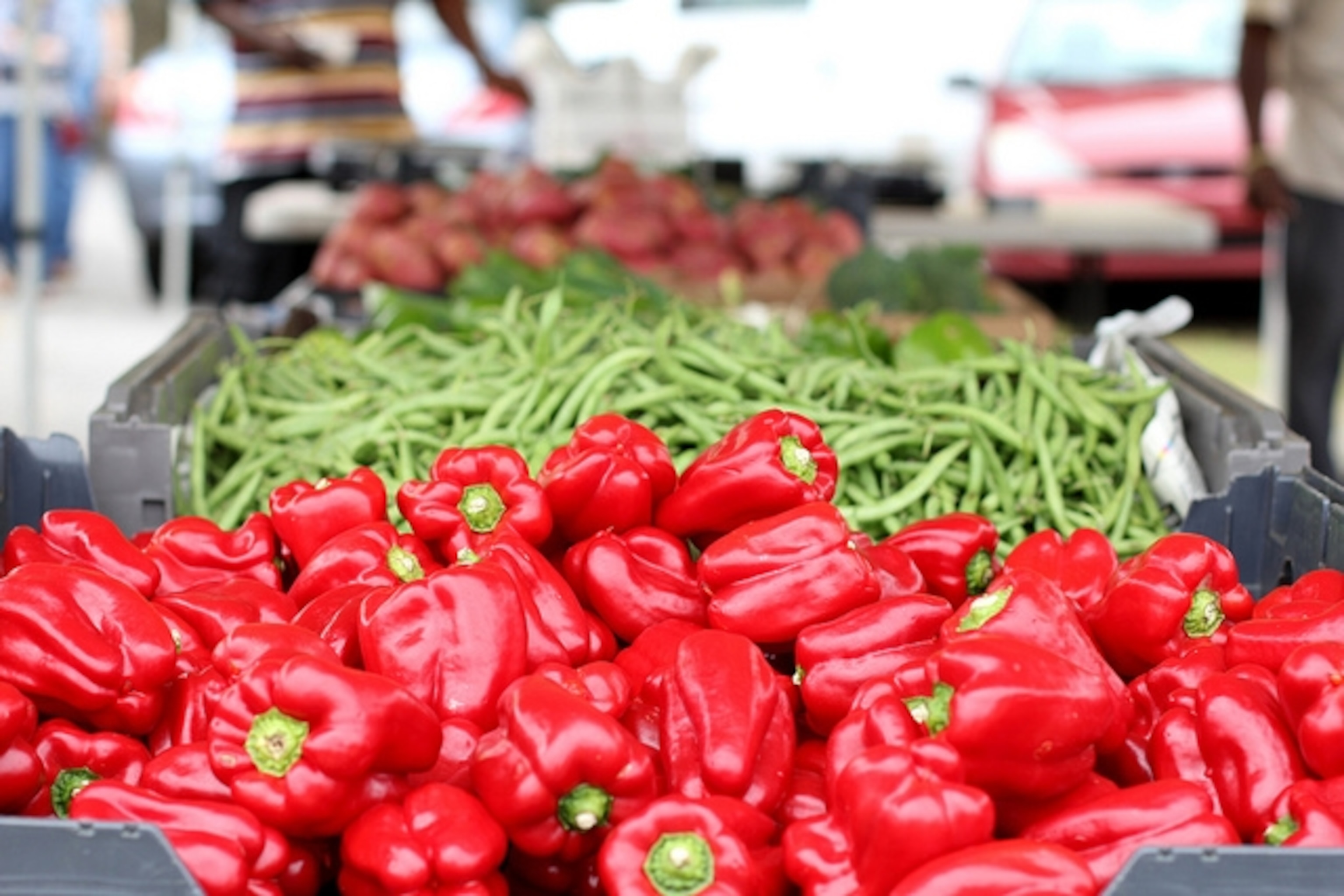 red peppers at North Charleston Farmer's Market.