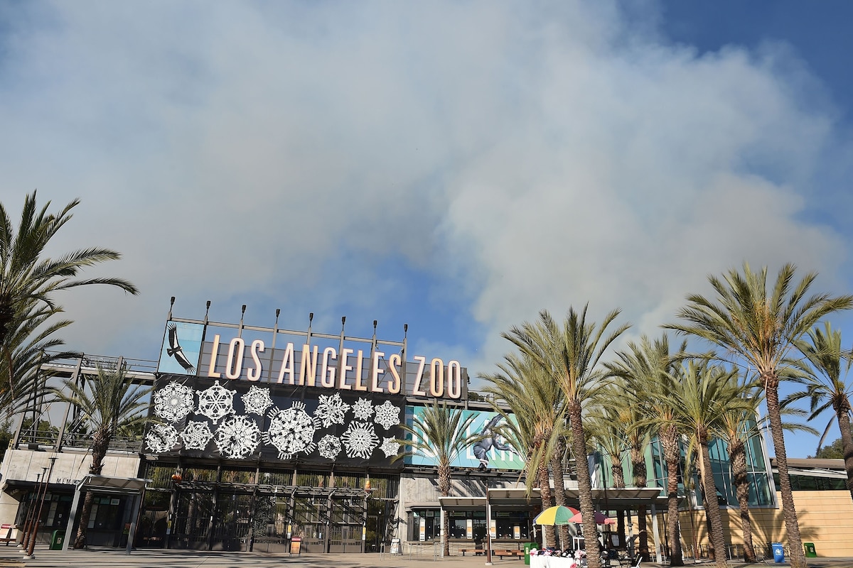 How zoos protect—and evacuate—animals during wildfires