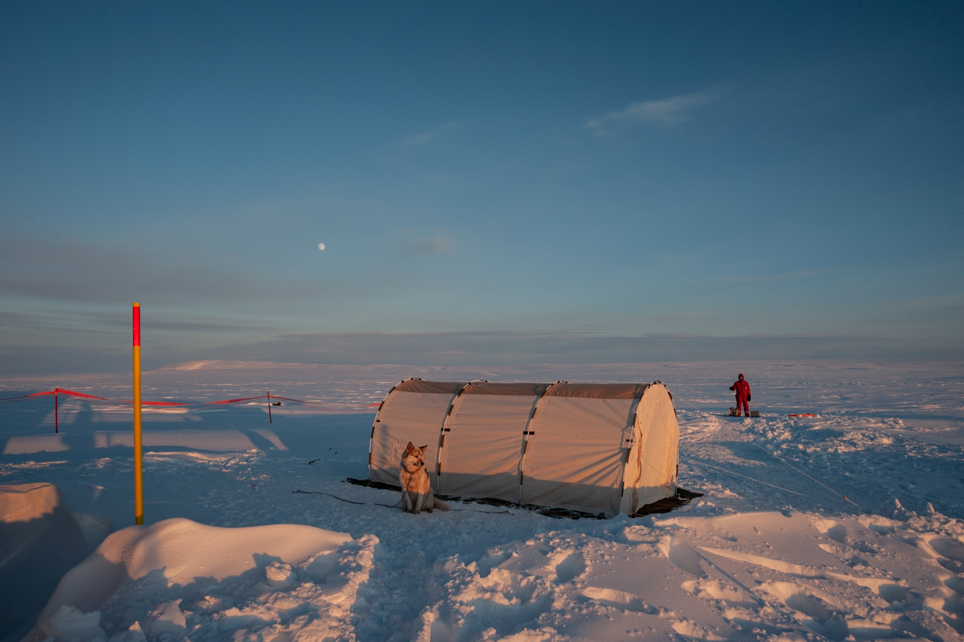 A dog sits in front of a tent, there is only snow in the distance.