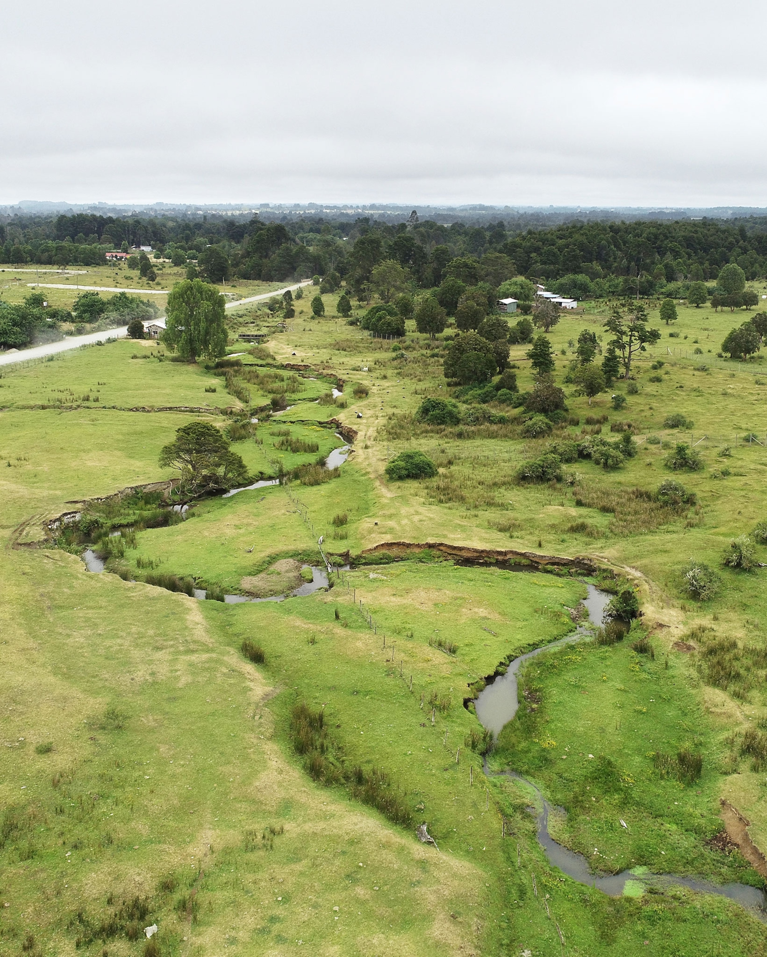 Oblique aerial view of the Monte Verde site