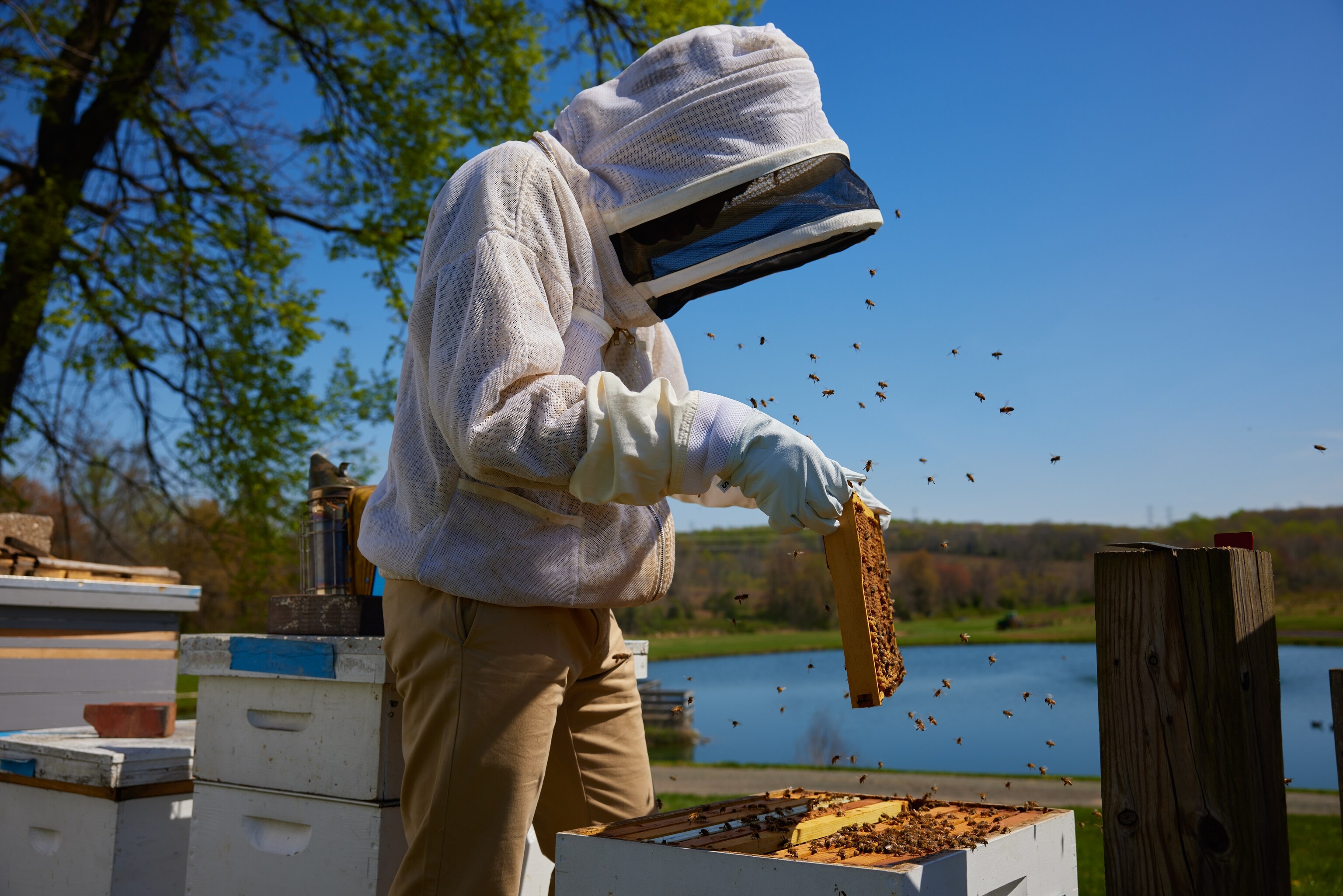 National Geographic Explorer Samuel Ramsey is an entomologist and National Geographic 2022 Wayfinder Awardee. Ramsey’s research on the decline of honey bees has taken him around the globe to better understand how pollinator pandemics start – and how they can be stopped.