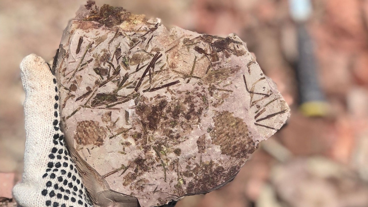 Material_16x9.jpg?w=1200