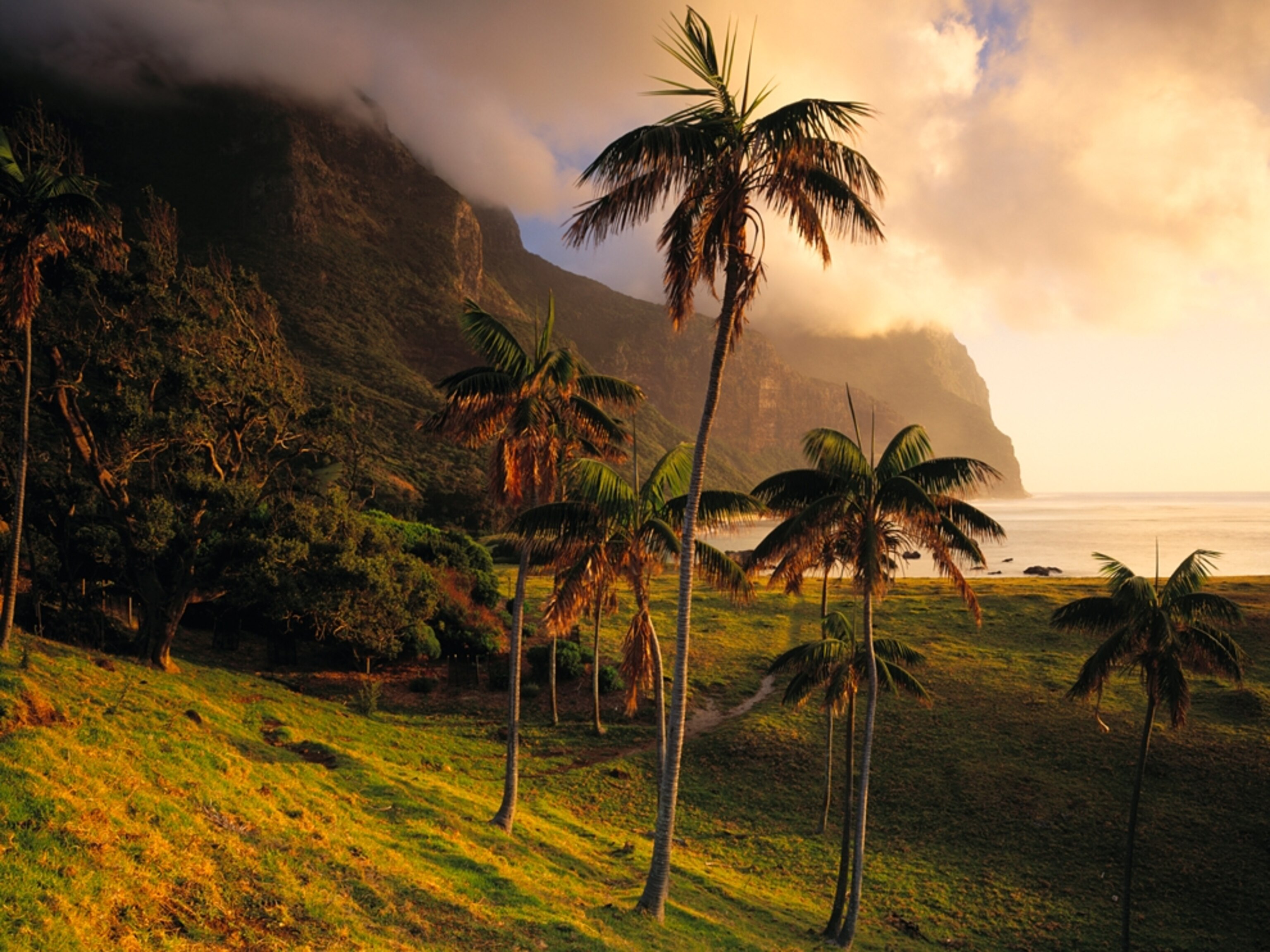 Sunset on coast with mountains and palm trees