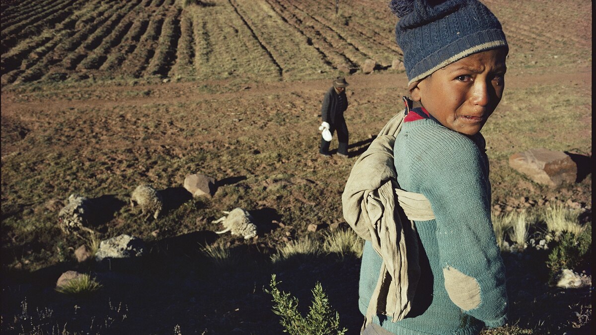 A Wall of Frames in National Geographic's office