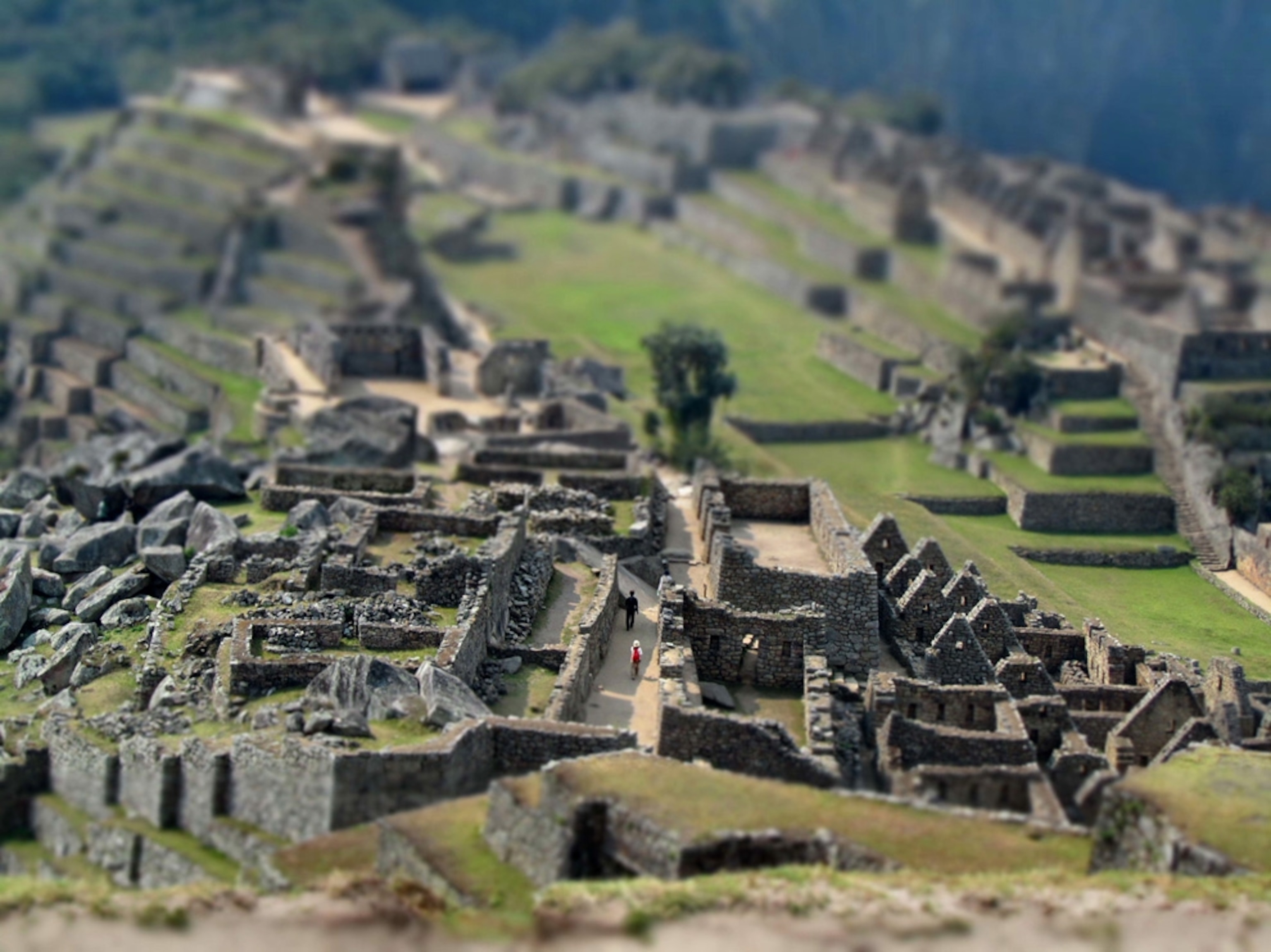 Machu Picchu