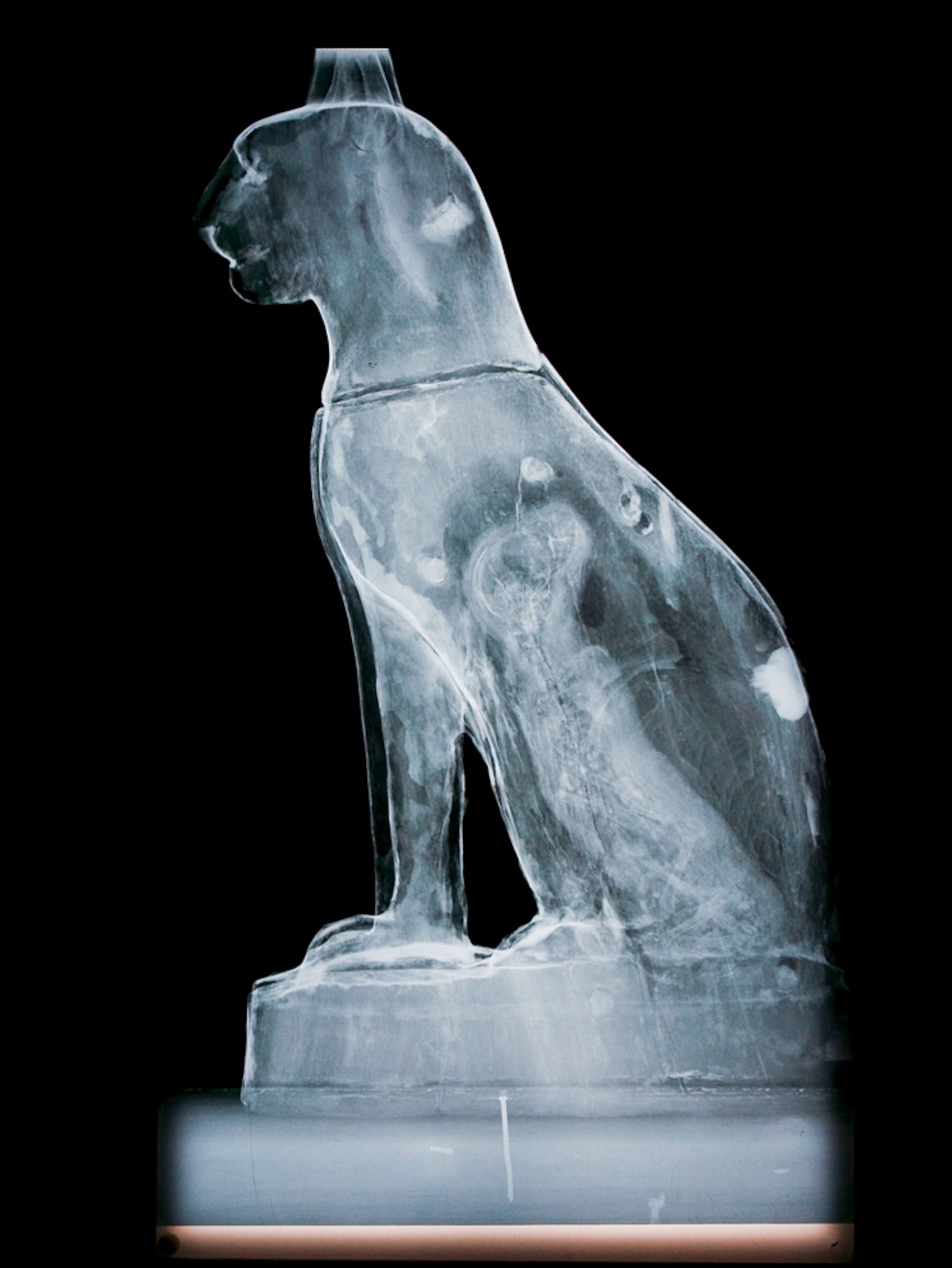 a cat coffin made with x-rays, whose discovery is being marked with a 115th-anniversary Google doodle