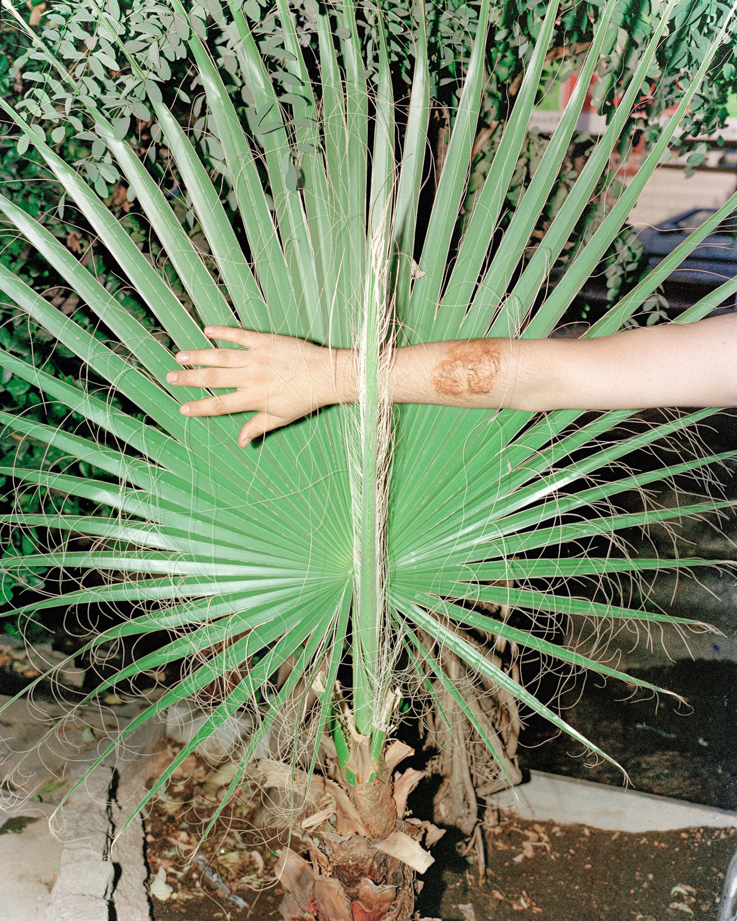 The cost of resistance in Afghanistan is often retributive violence. In the case of Masoud, who was working at a juice stand in Tehran, Iran, when Shakeri first met him—that cost came when he was deported from Iran back to his home country. Rolling up his sleeve, Masoud, who has since returned to Iran, revealed a scar on his arm. Members of the Taliban had set fire to his skin to erase a tattoo he had of his namesake and famed anti-Taliban leader, Ahmad Shah Massoud, who was assassinated by al-Qaeda in September 2001, days before the 9/11 attacks. Like his namesake, Masoud hails from Panjshir, a small valley north of Kabul. When Shakeri last heard from Masoud, on a phone call months after their meeting, he was struggling to make ends meet and was yet again facing the threat of deportation.