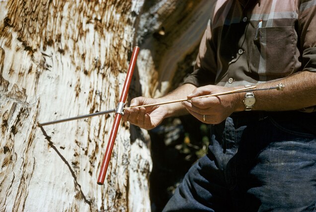 How Archaeologists Determine The Date Of Ancient Sites And Artifacts