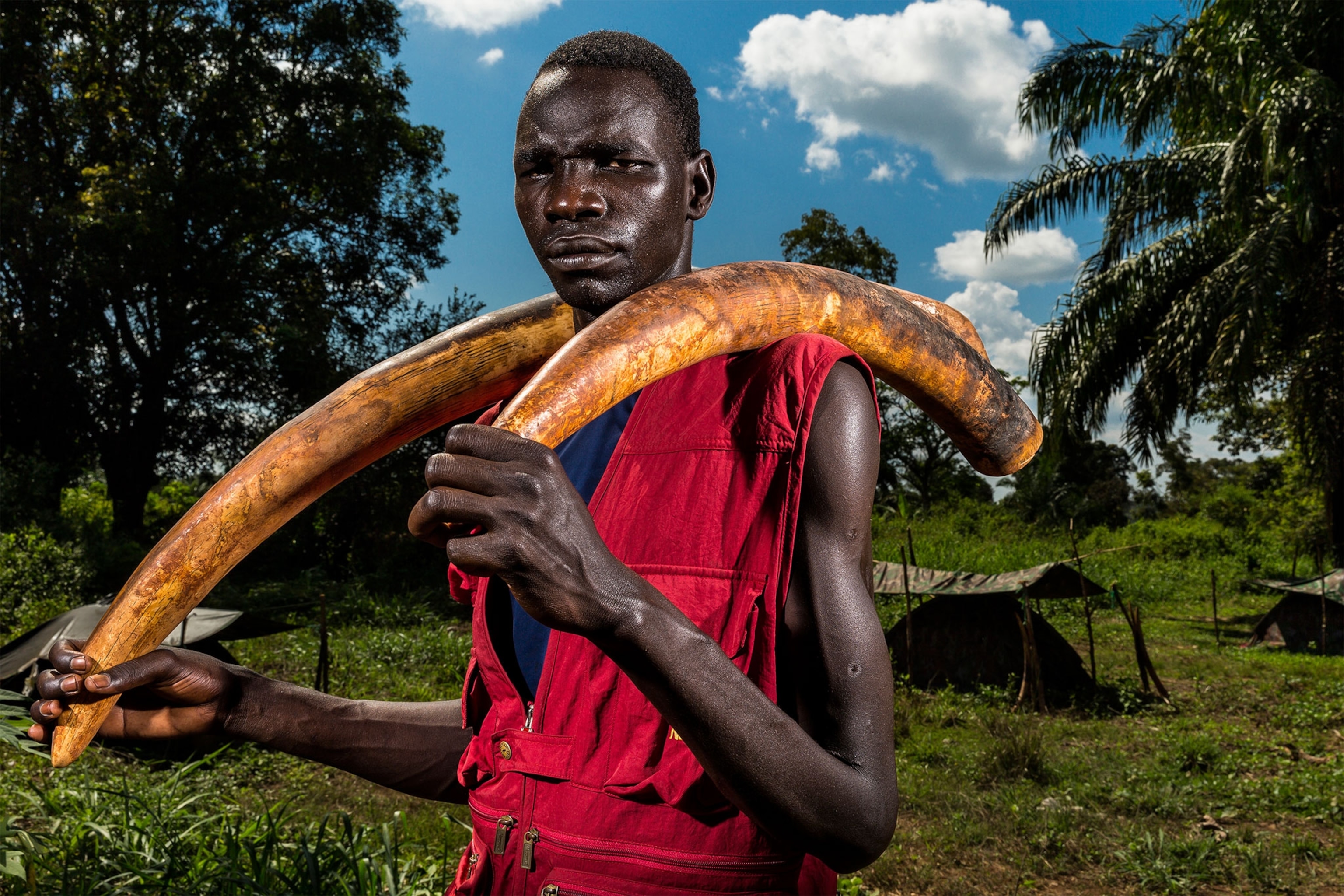 a man holding an elephant tusk