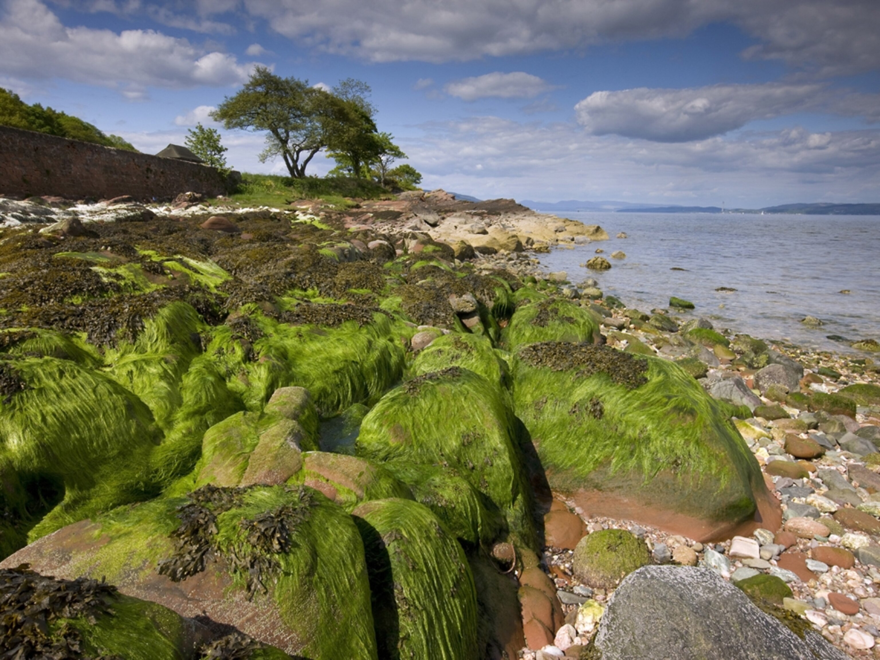 a beach scene from Kerrycroy on the Isle of Bute, Argyll, Scotland.