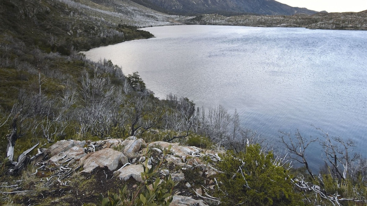 Chile: Patagonia Indomita