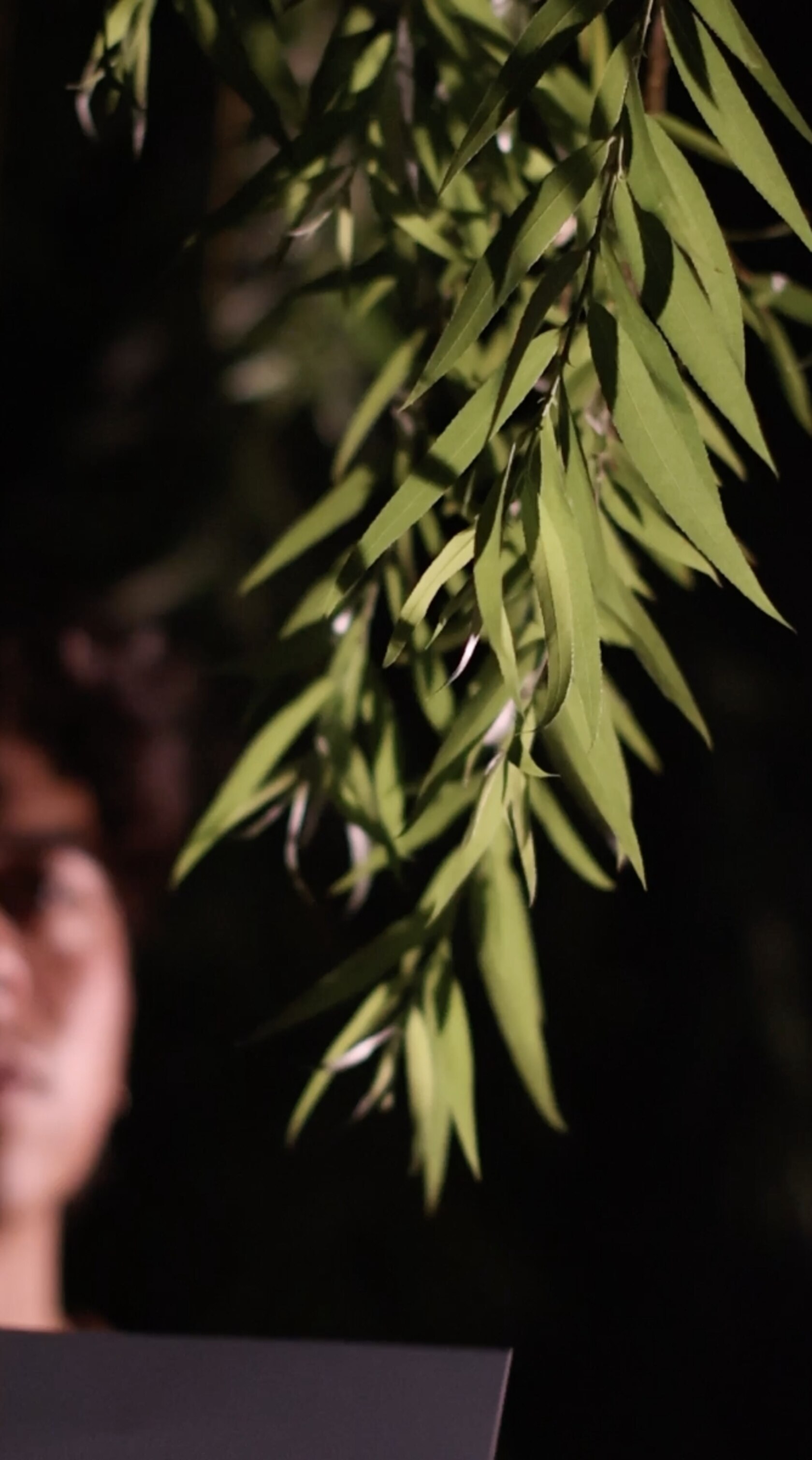 Finding light in Hiroshima's legacy | National Geographic