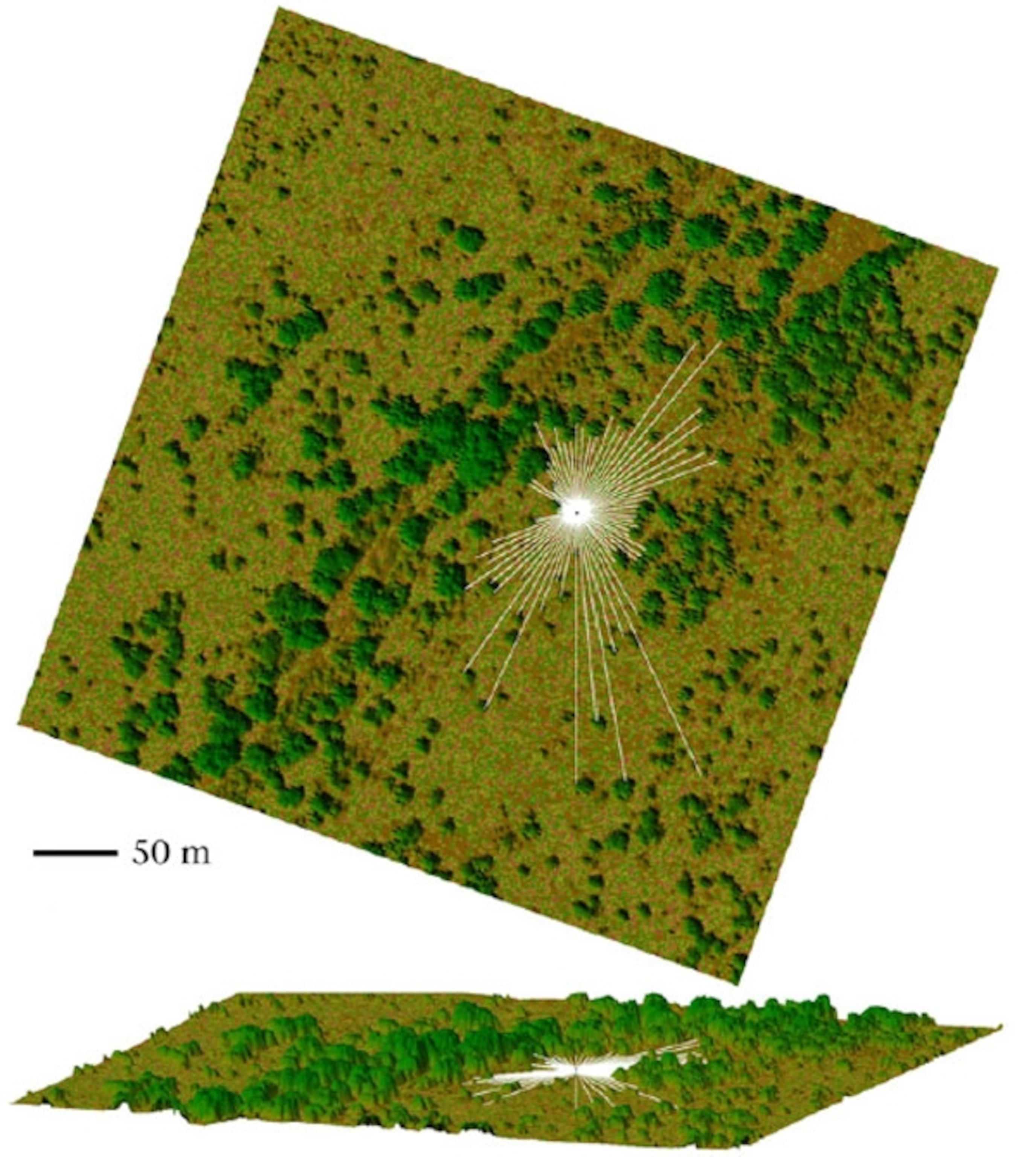From Loarie et al, 2013. Animal Behaviour