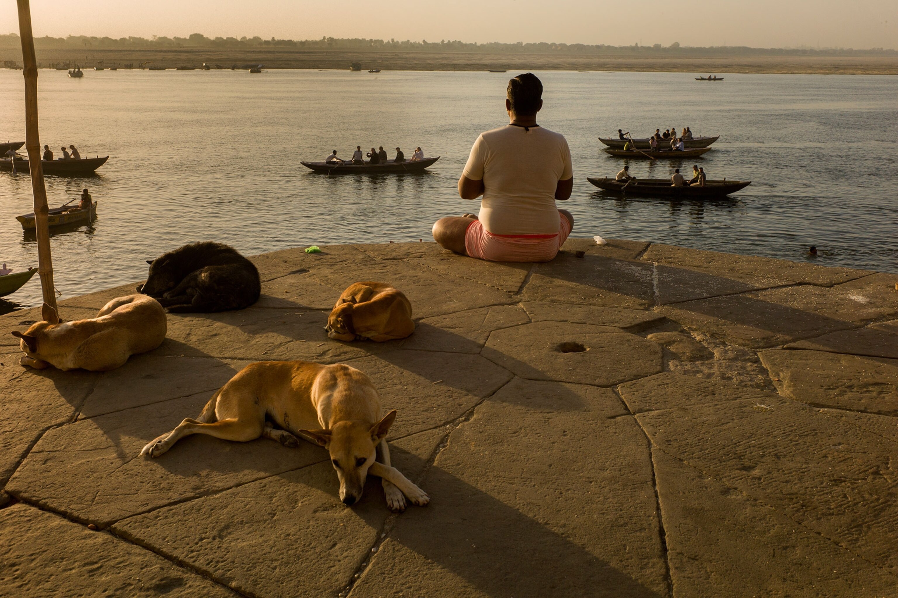 dogs napping next to a man praying at the Ganges River