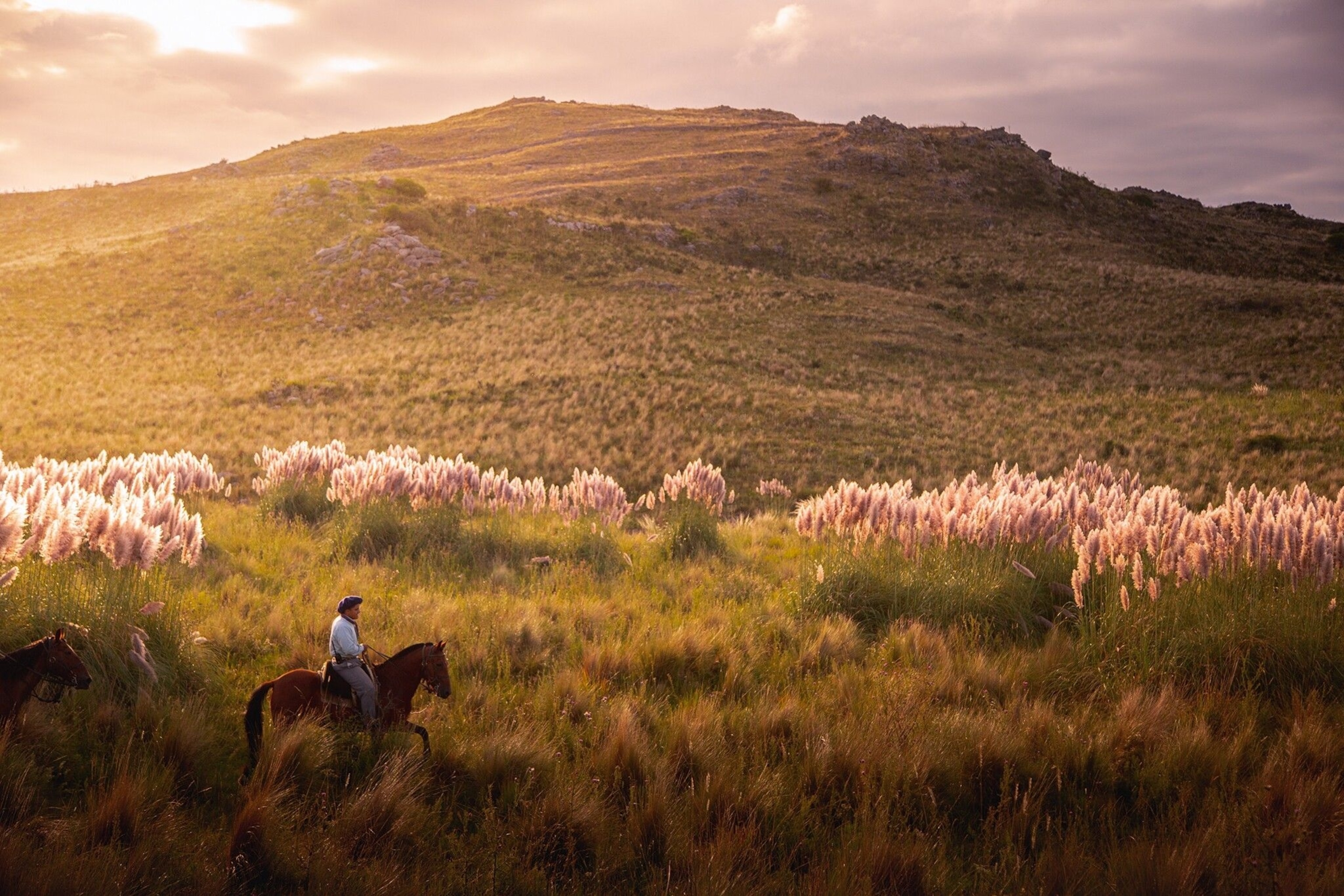Between the pampas and the Andes, within a range of hills called the Sierras Chicas, the 6,500-acre Estancia Los Potreros offers a taste of Argentina’s treasured rural traditions. A working ranch, home to 500 Aberdeen Angus cattle, it’s where lasso-wielding gauchos on criollo horses expertly round up the herds. Beyond this, the area around Estancia Los Potreros is perfect for walking and horse riding.