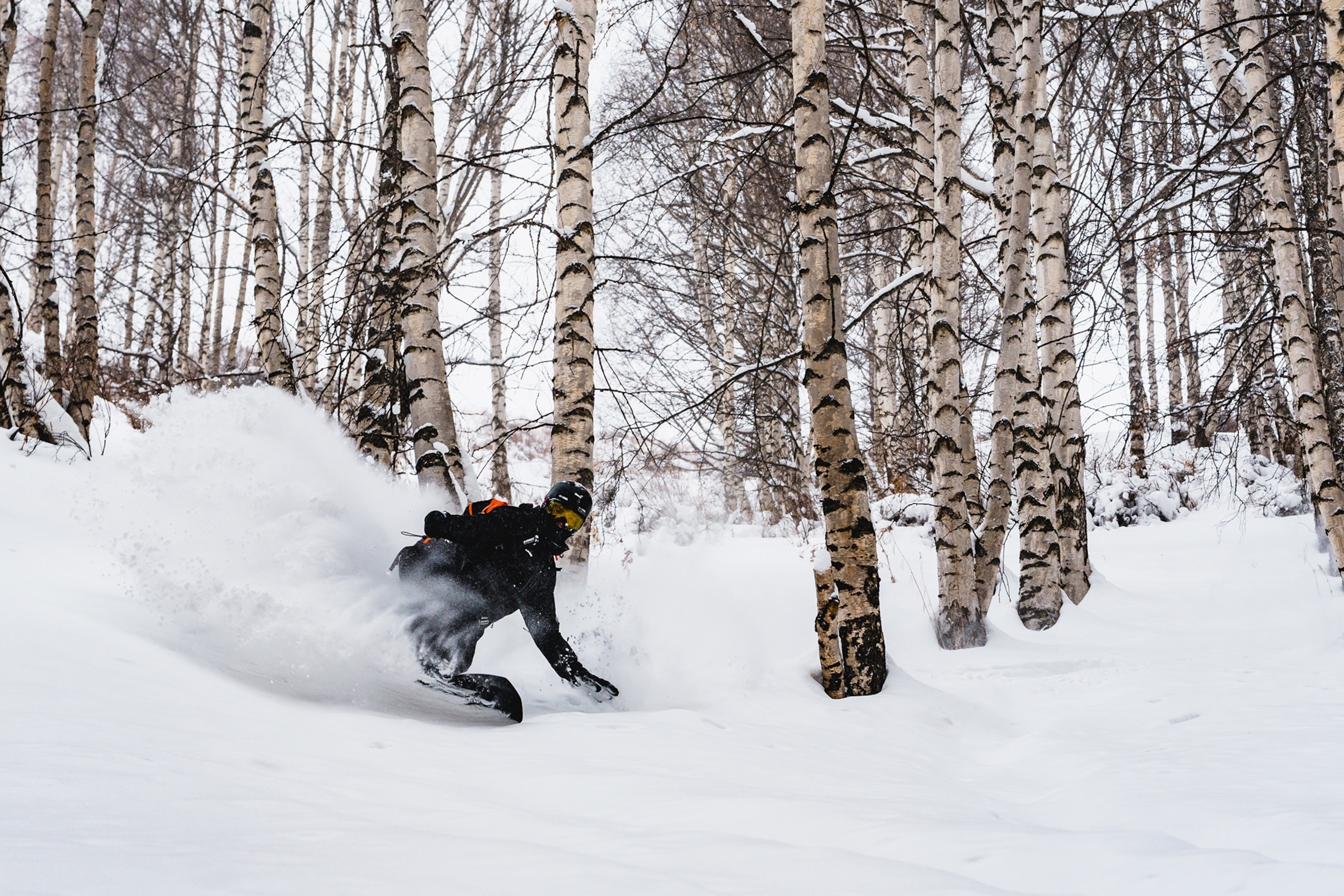 A snowboarder taking a powdery curve in a snowed in forest.