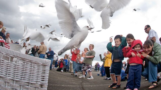 New Theory On How Homing Pigeons Find Home