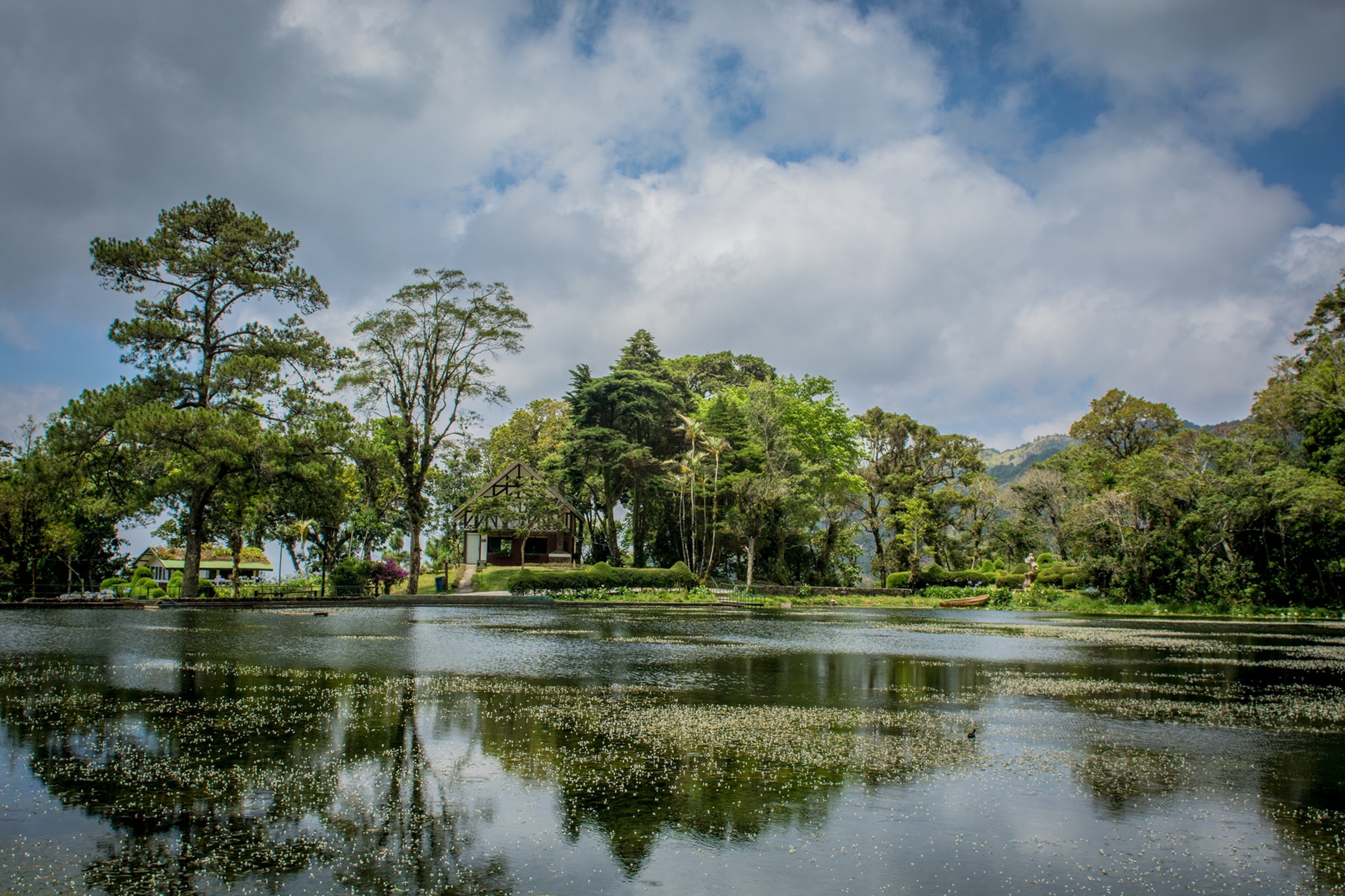 Lake surrounded by trees