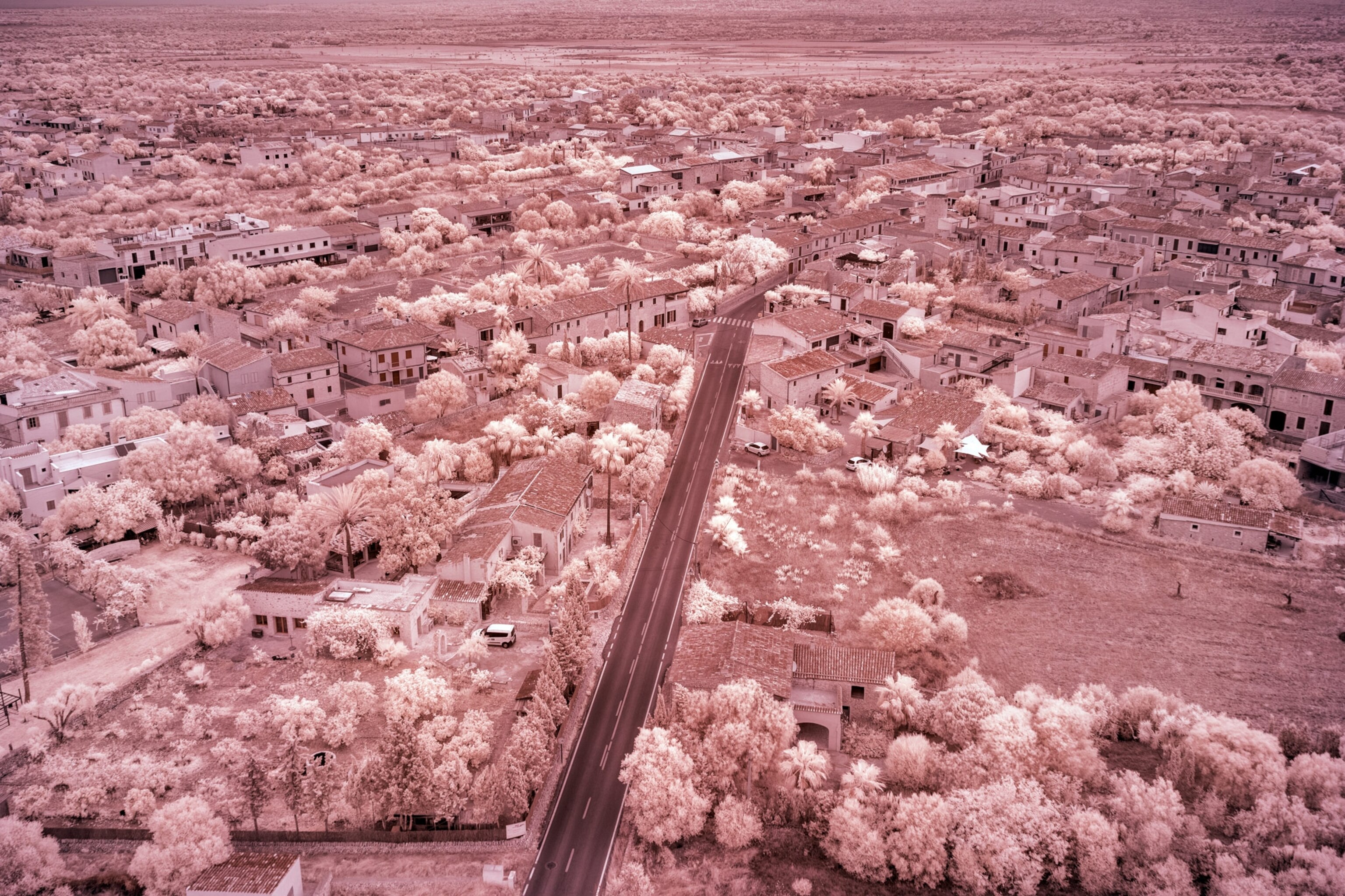 mallorca during and after covid in july 2020