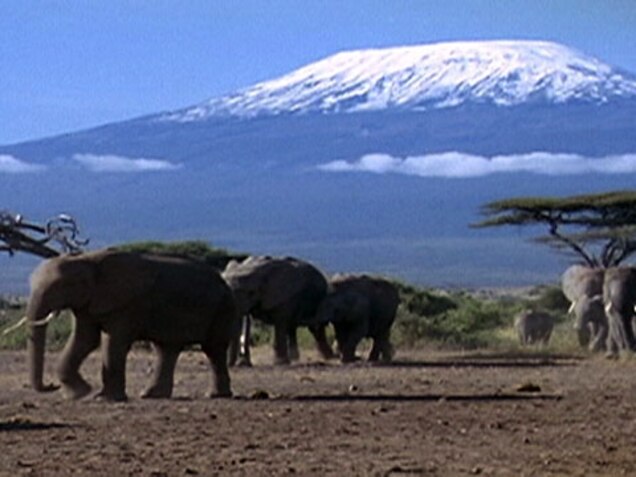 Tips For Climbing Mount Kilimanjaro Africa S Highest Peak