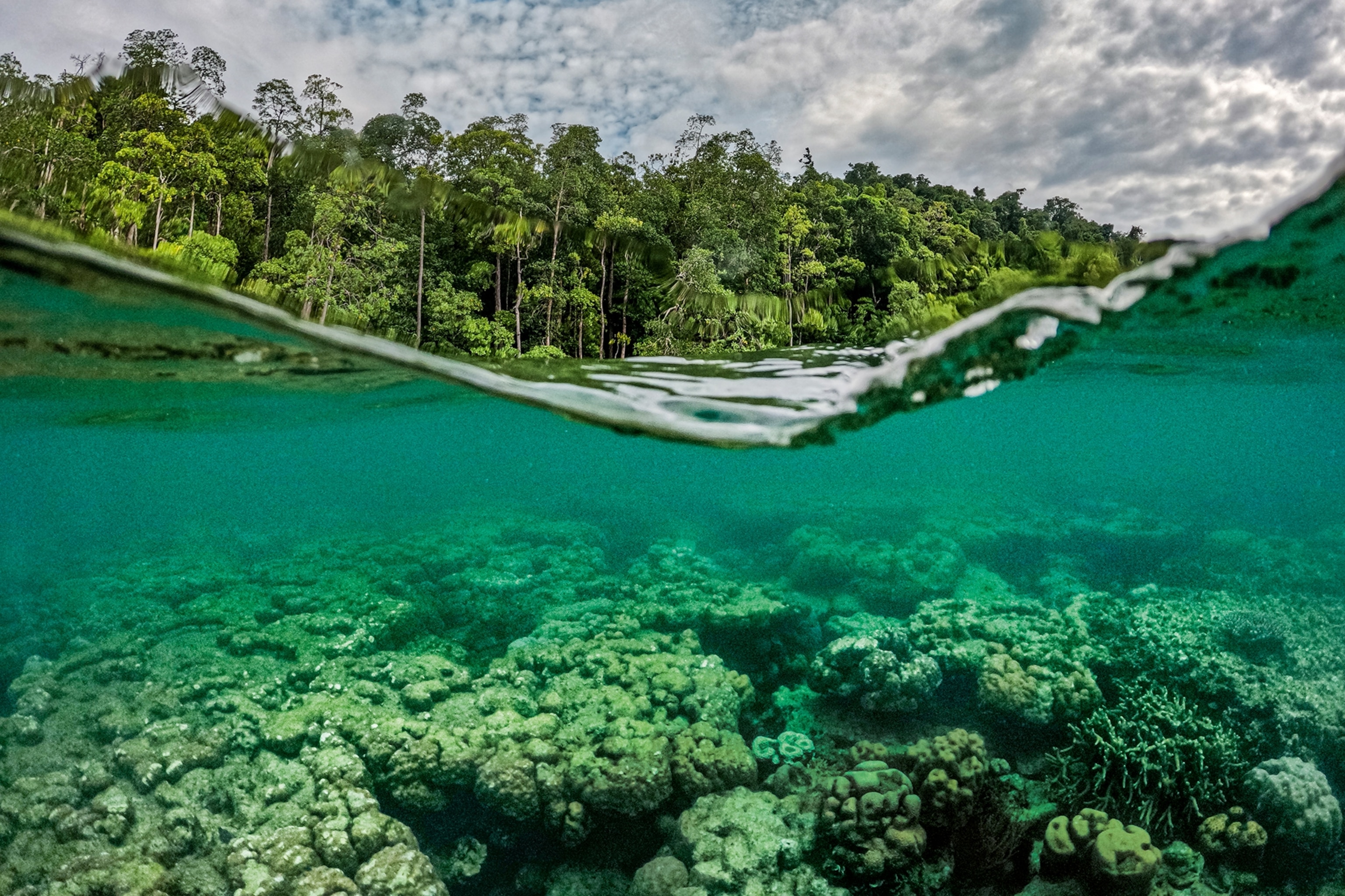 A half underwater shot in the ocean off a sandy shore.