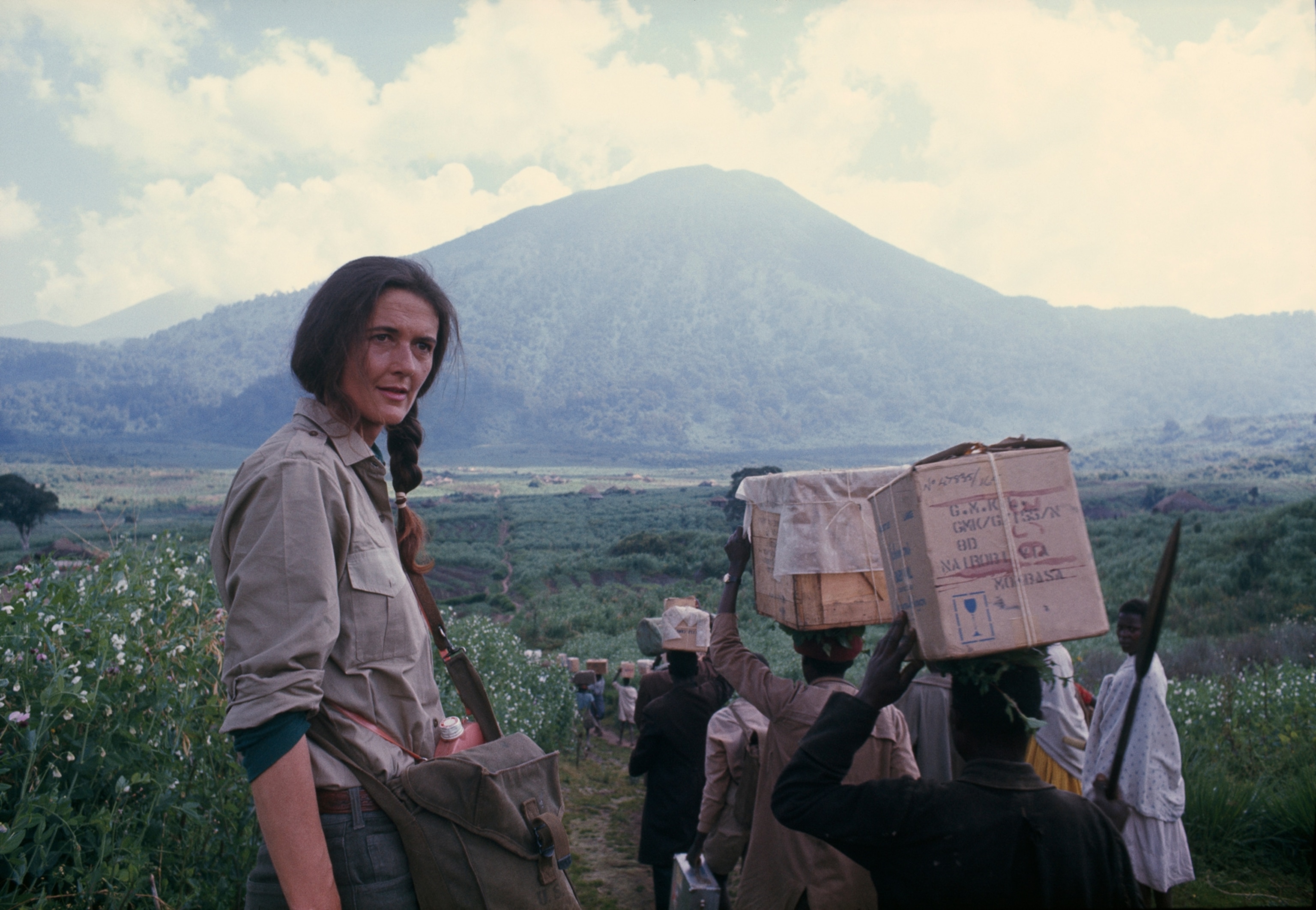 Dian Fossey and travels to study mountain gorillas in the wild.