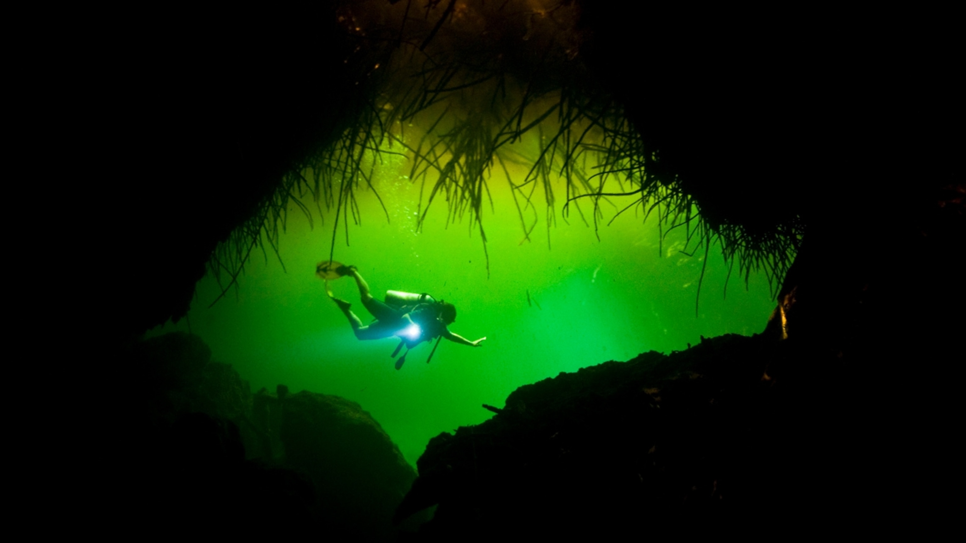Scared to scuba? Here are 5 reasons it’s finally time to learn.