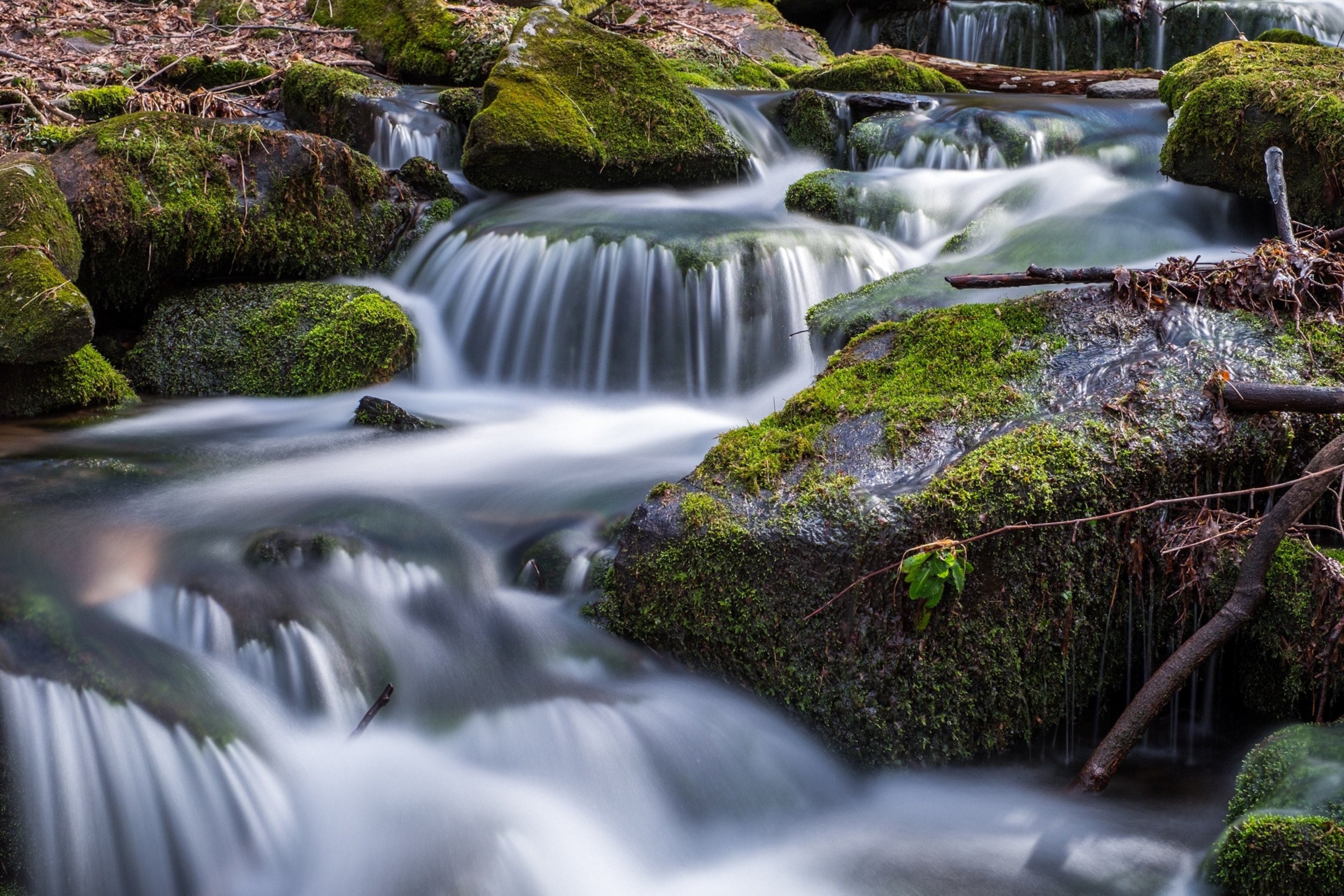 Gatlinburg, Great Smoky Mountains National Park, Tennessee, United States of America