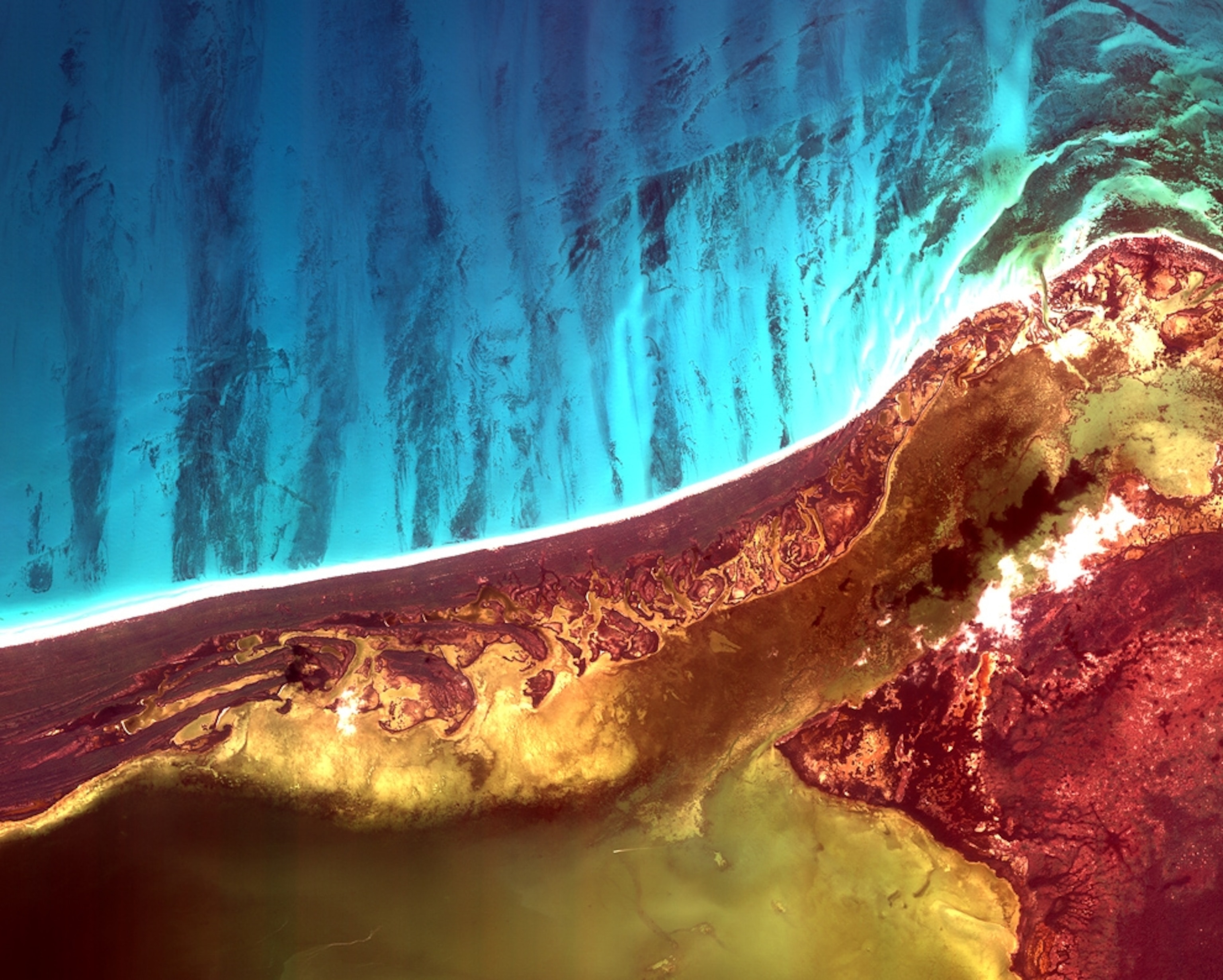 False-color satellite picture of part of Mexico's Yucatan Peninsula