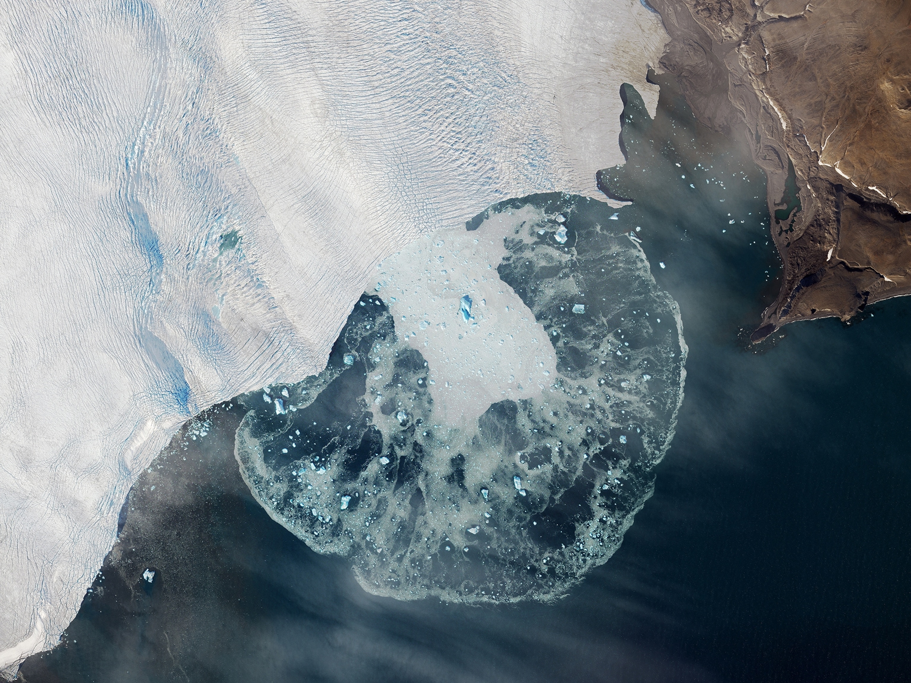 Calving ice picture - Moshniy Glacier calves chunks of ice and debris