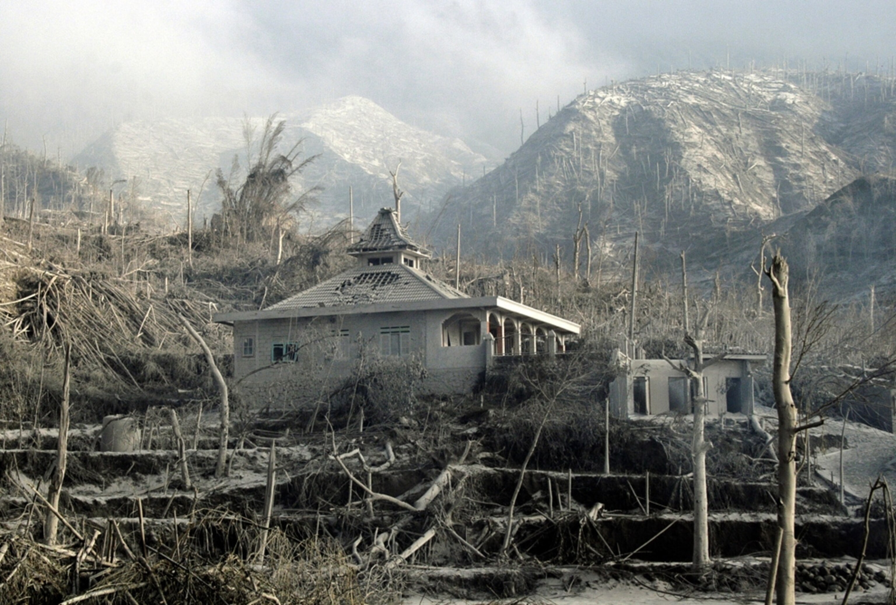 Trees and grass burnt by the Indonesian Mount Merapi volcano eruption are seen around a damaged building.