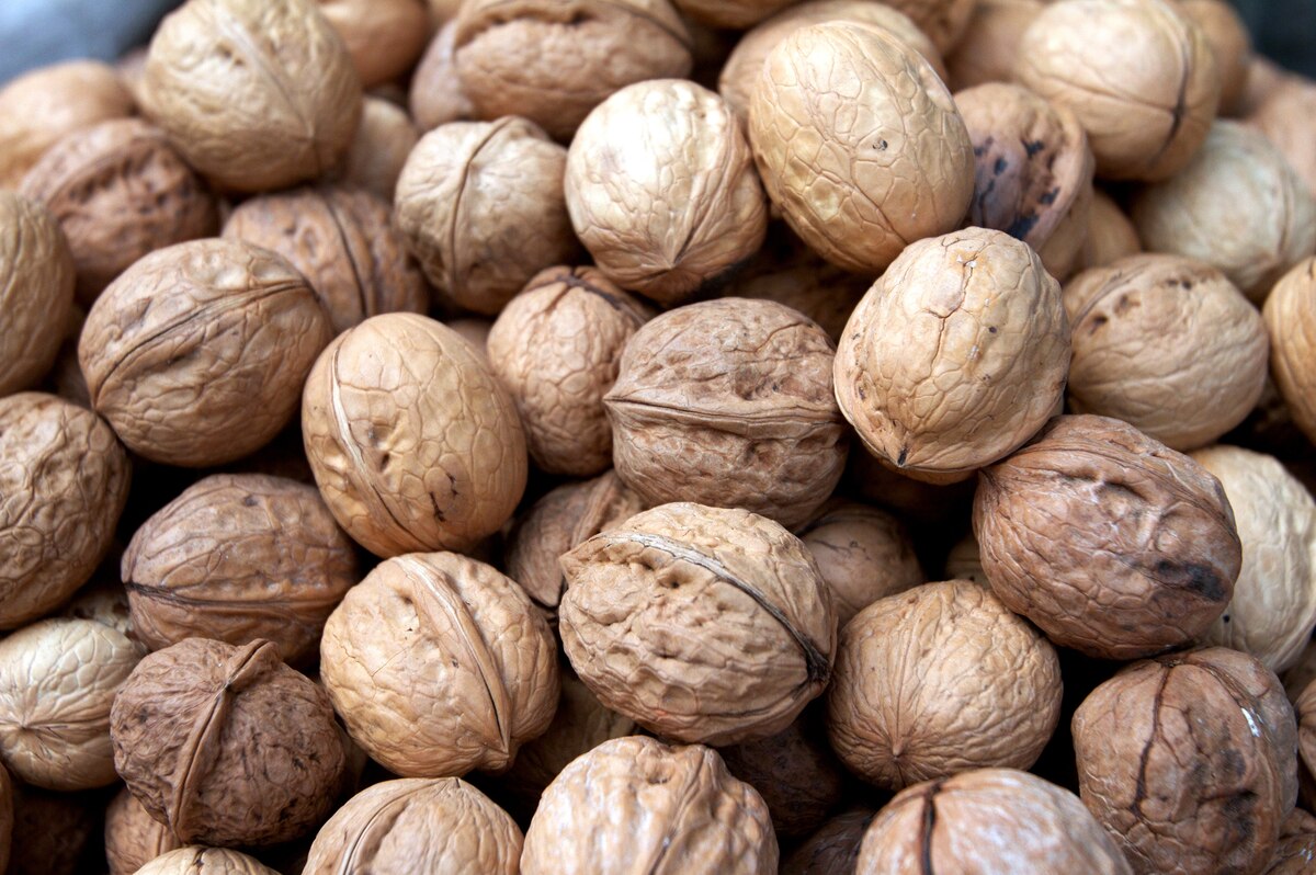 Walnuts Through Time Brain Food, Poison, Money, Muse