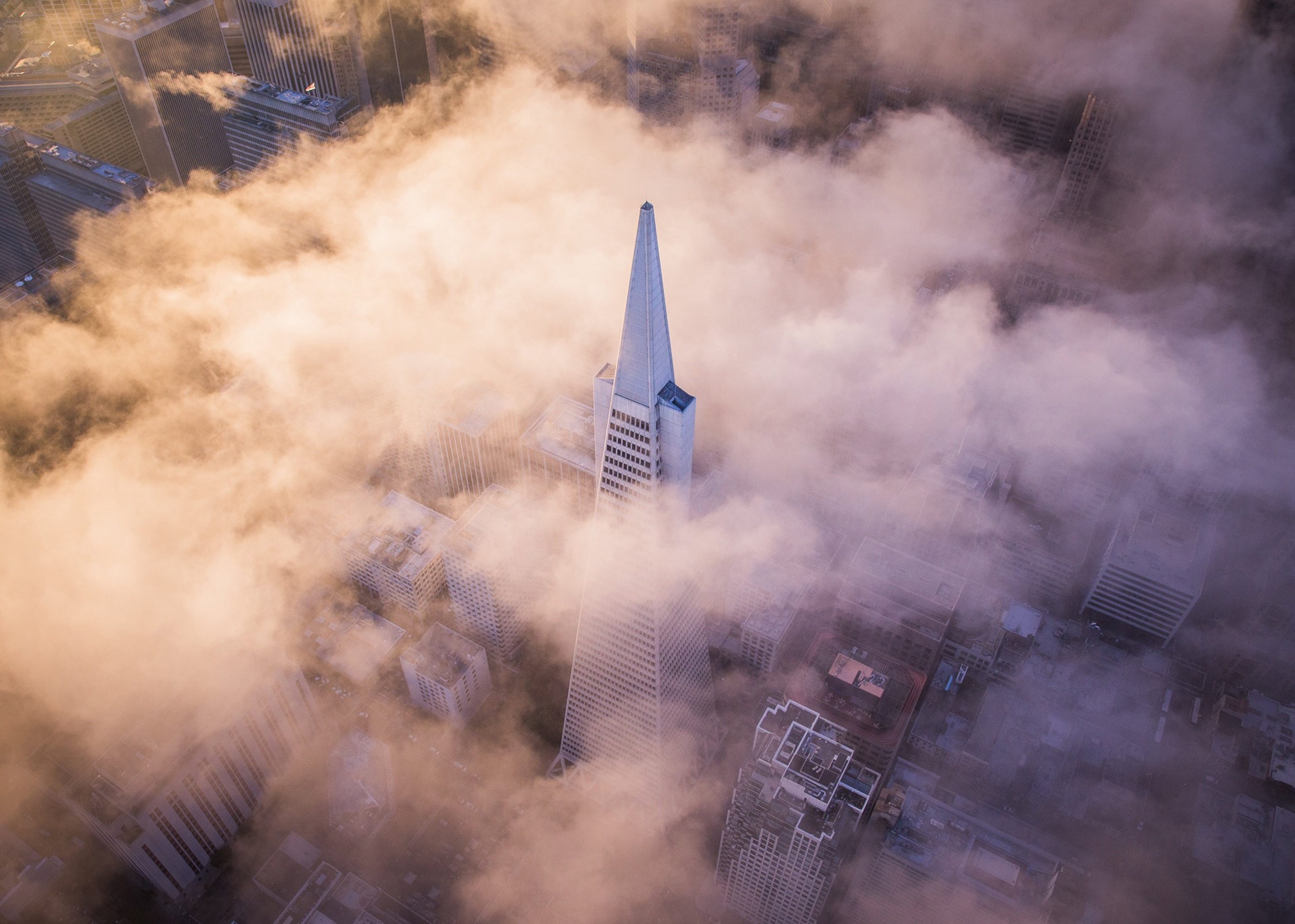 fog over the Transamerica building, San Francisco