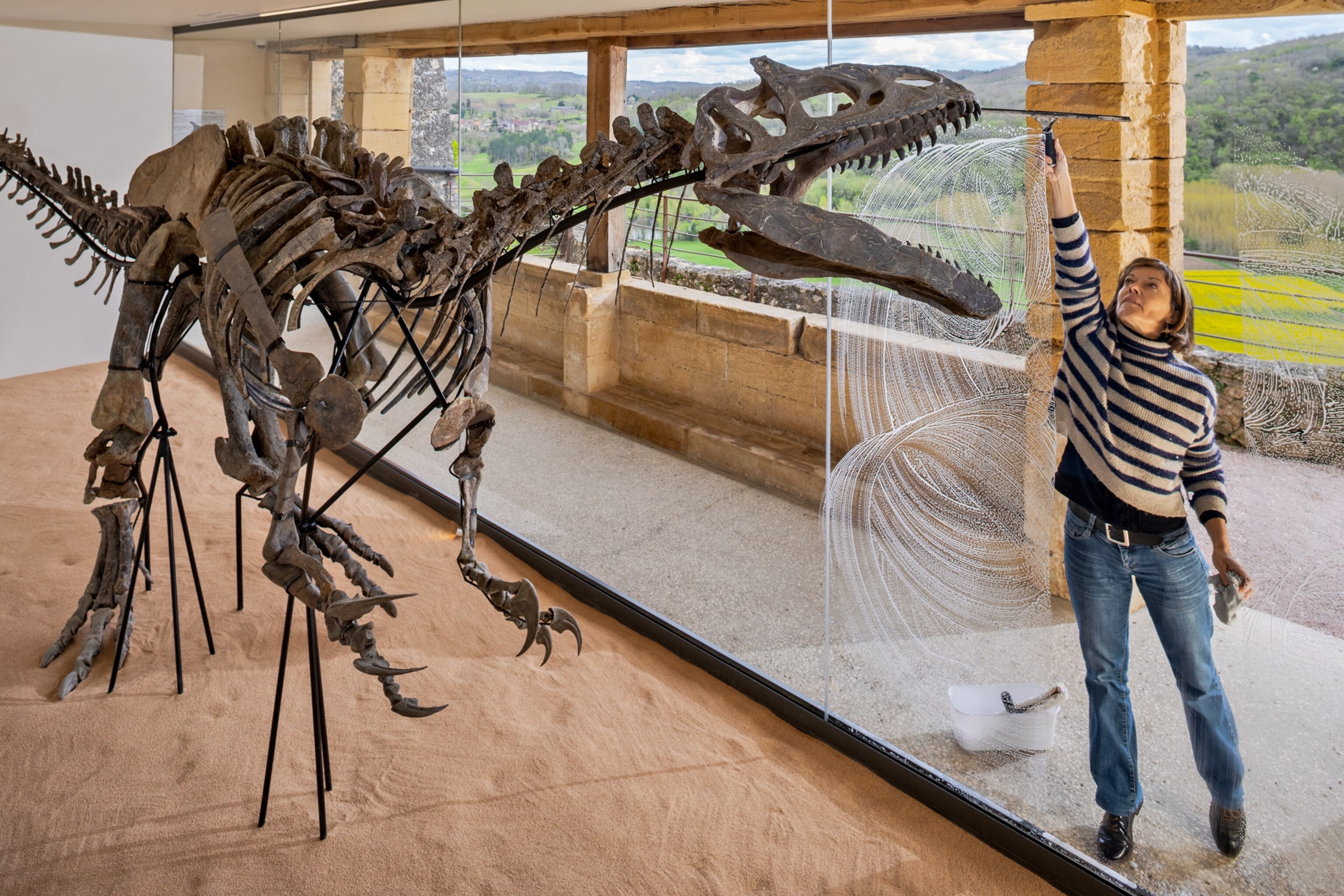 Dinosaur fossils are turning up in homes and offices of wealthy collectors
