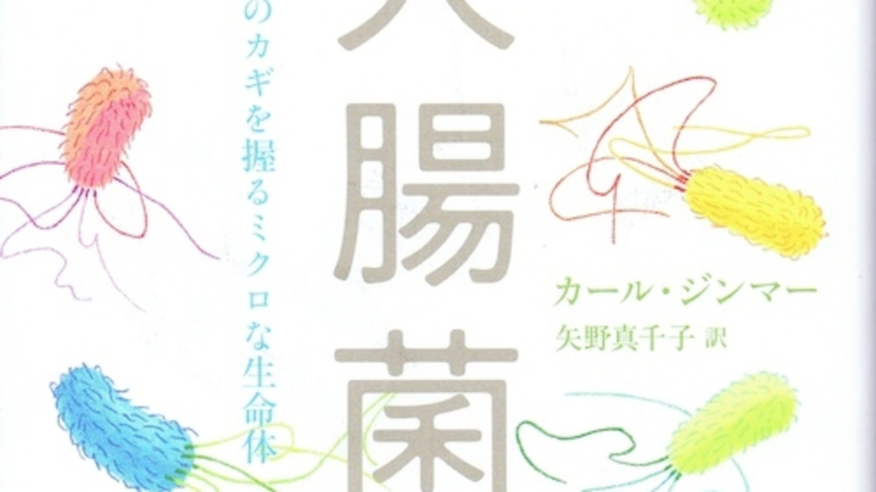 Cross Cultural E Coli Aesthetics