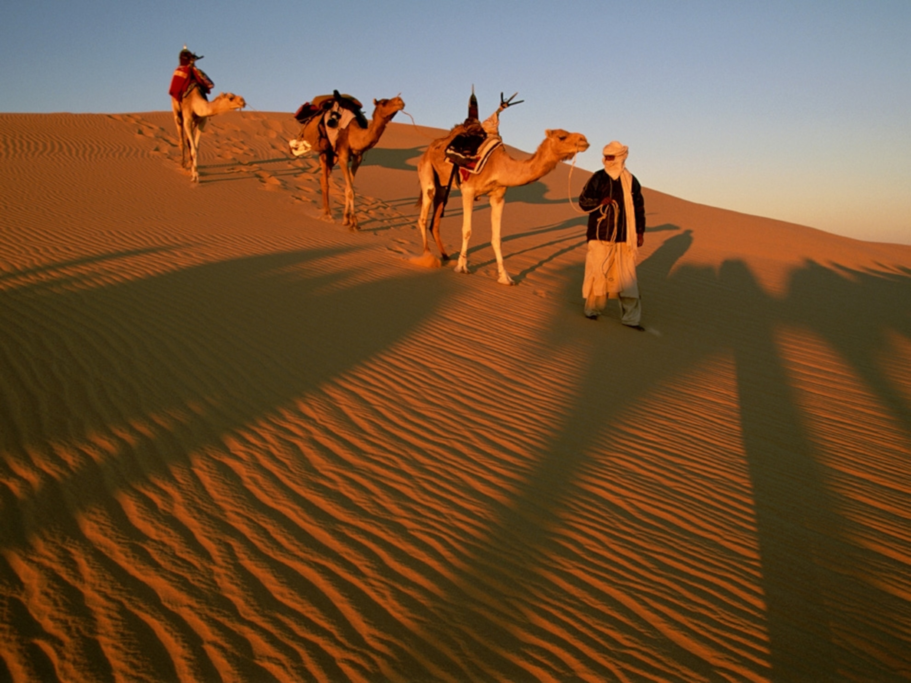 Tuareg tribesman in the desert