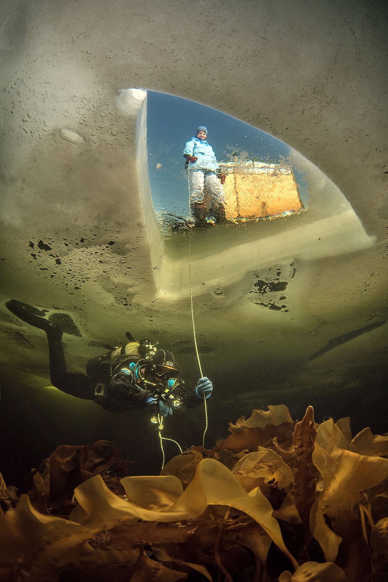 yourshot-underwater-12301800.jpg