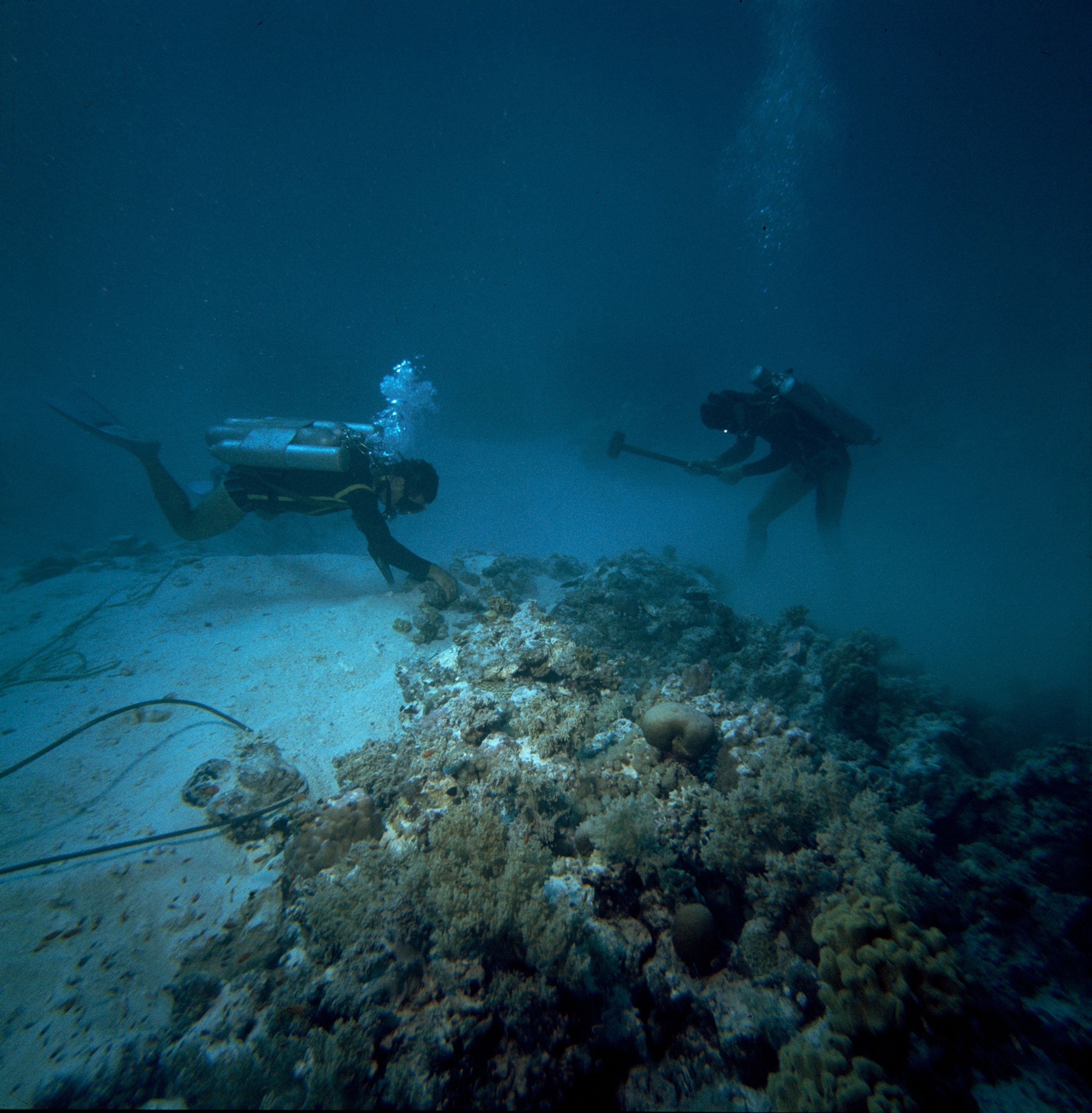 Divers clear coral from an underwater building site.