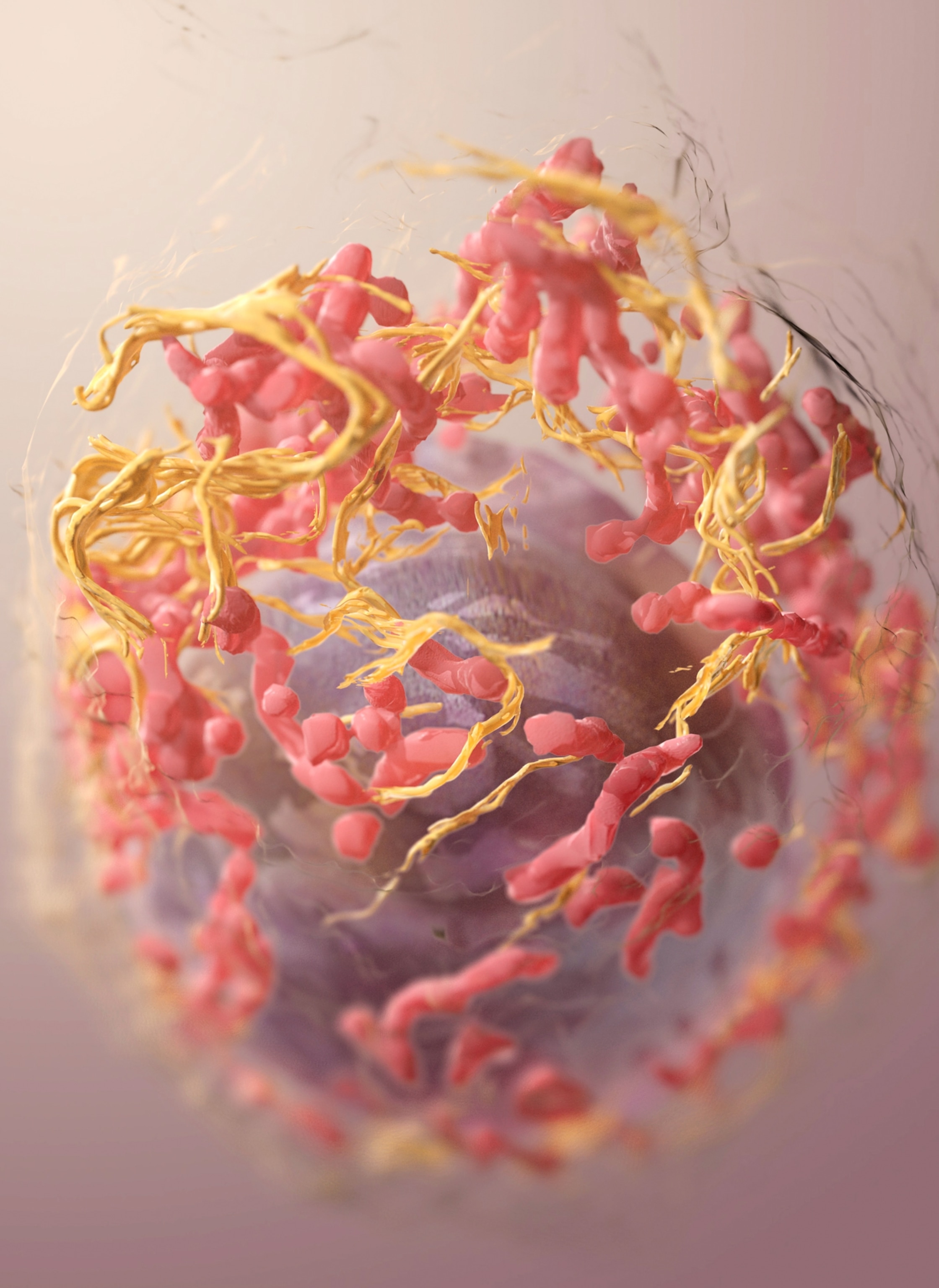 A colorized three dimensional micrographic scan of a melanoma cell