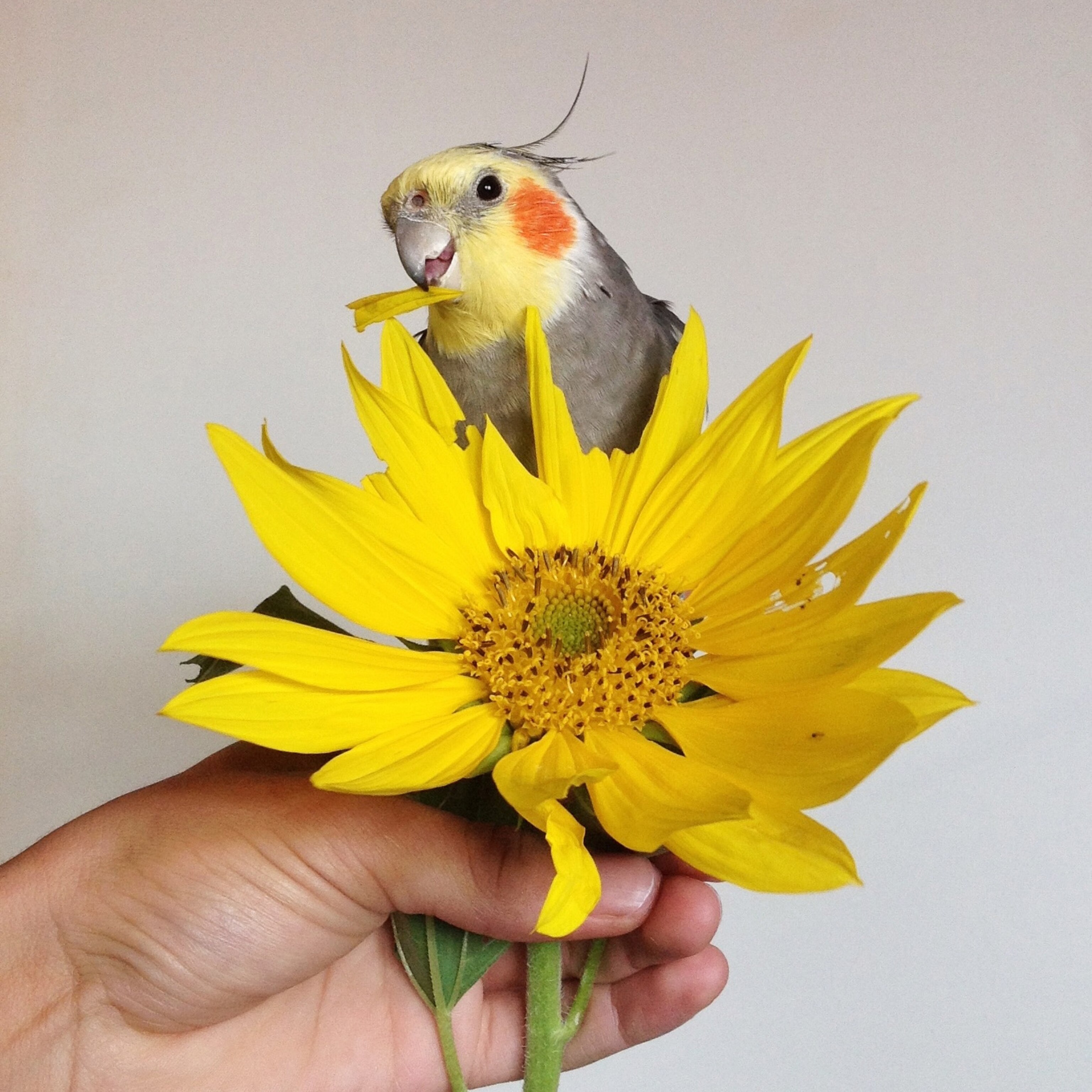 "I love this photo because shows the curiosity that Jack has with new and different things."